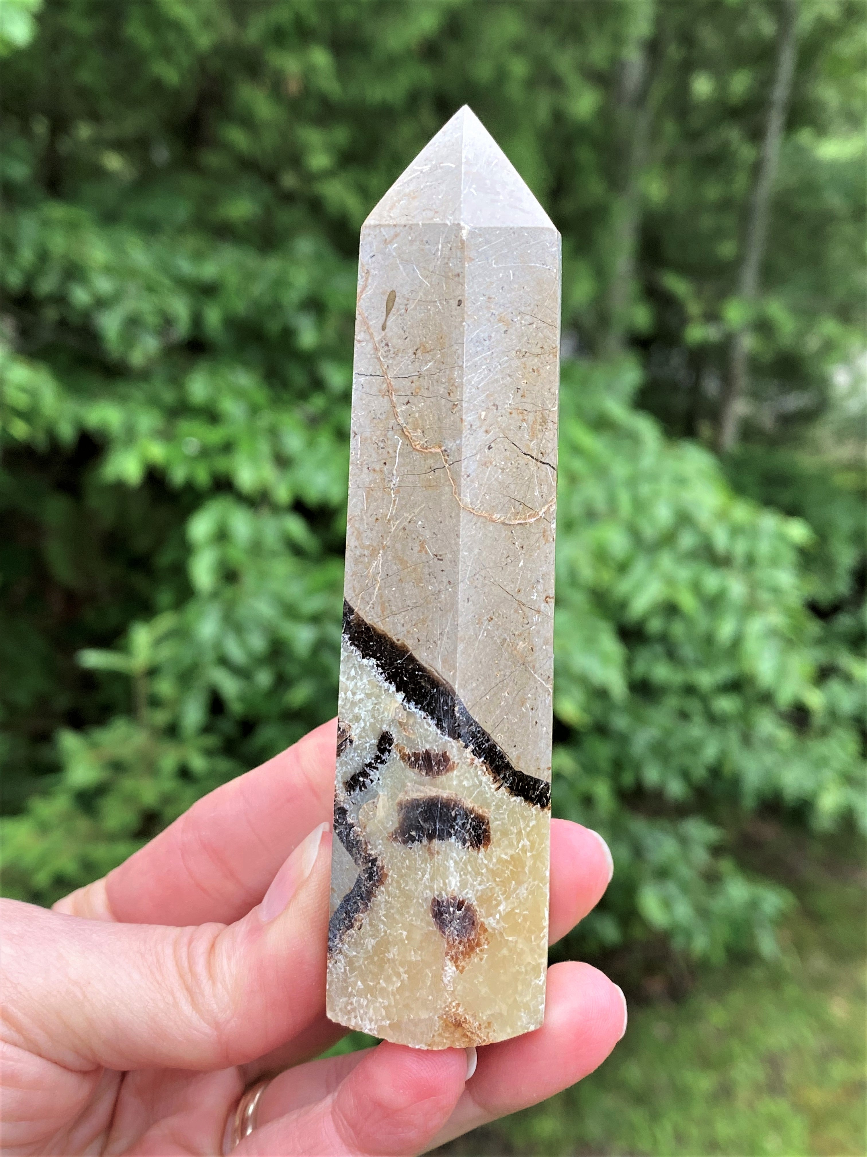 Septarian Tower Point  Grounding Communication 30662S