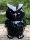 Black Obsidian  Owl  Figurine Protection Grounding 30932S