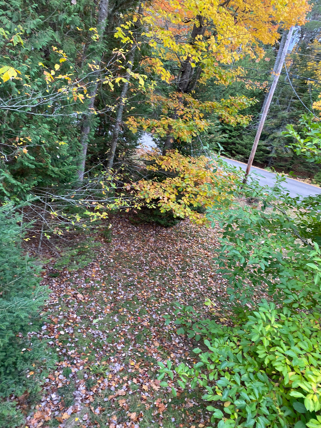 Mookaite Tower Point  Yellows  Grounding Protection 31252S