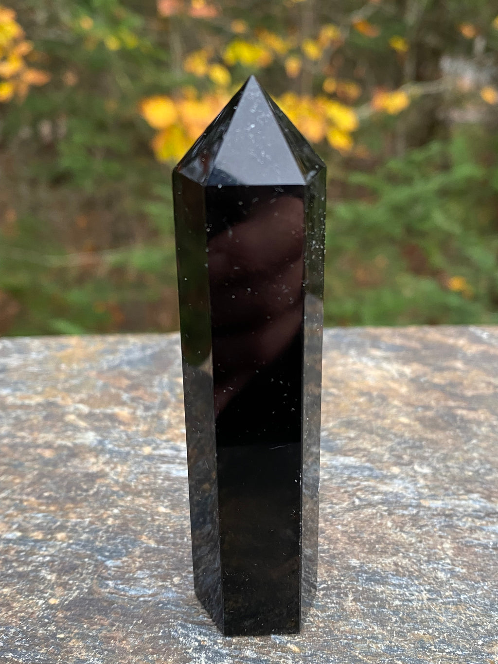 Obsidian Silver Sheen  Point Tower  Protection Grounding Success 30904S