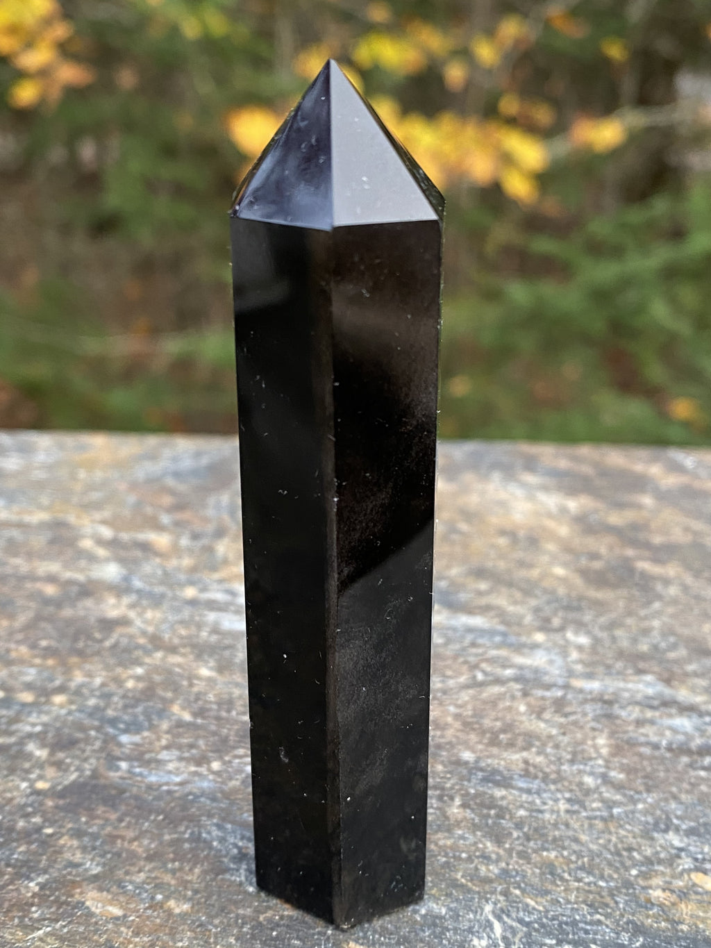 Obsidian Silver Sheen  Point Tower  Protection Grounding Success 30904S
