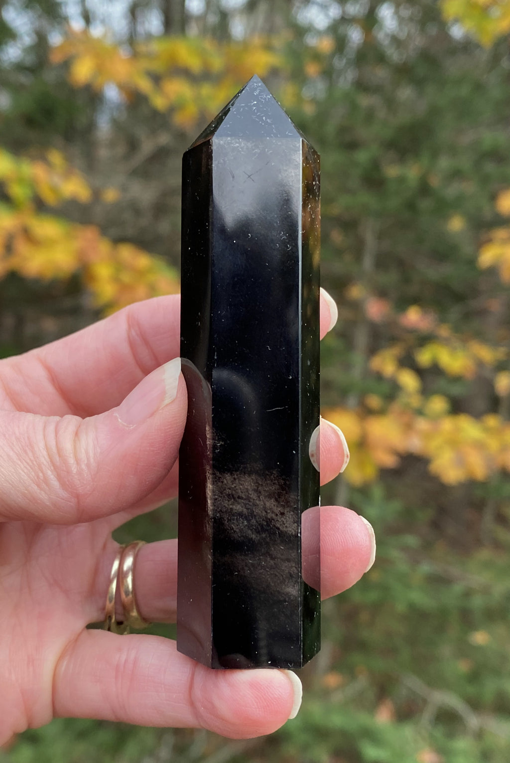 Obsidian Silver Sheen  Point Tower  Protection Grounding Success 30904S