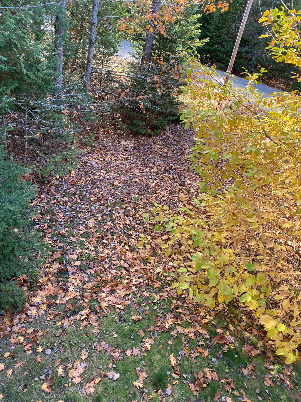 Green Opal  Point Tower  Spiritual Cleansing Healing 30935S