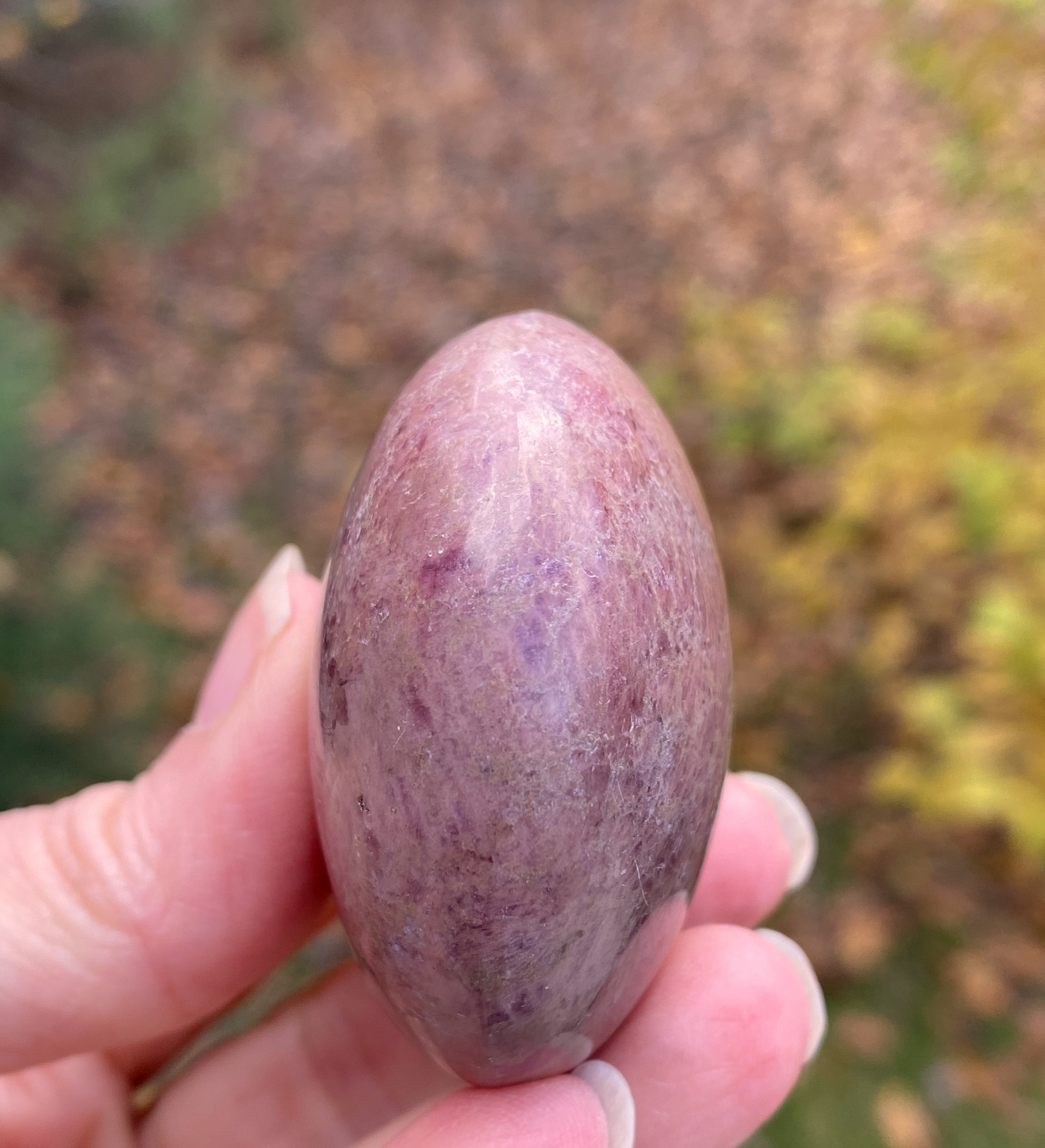 Rhodonite Palm Stone  Pink  Love Forgiveness 31683S