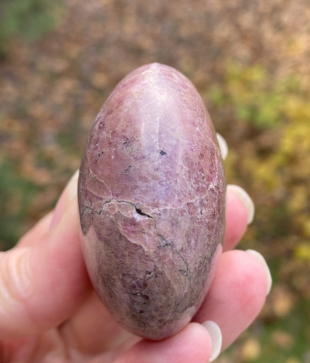 Rhodonite Palm Stone  Pink  Love Forgiveness 31683S