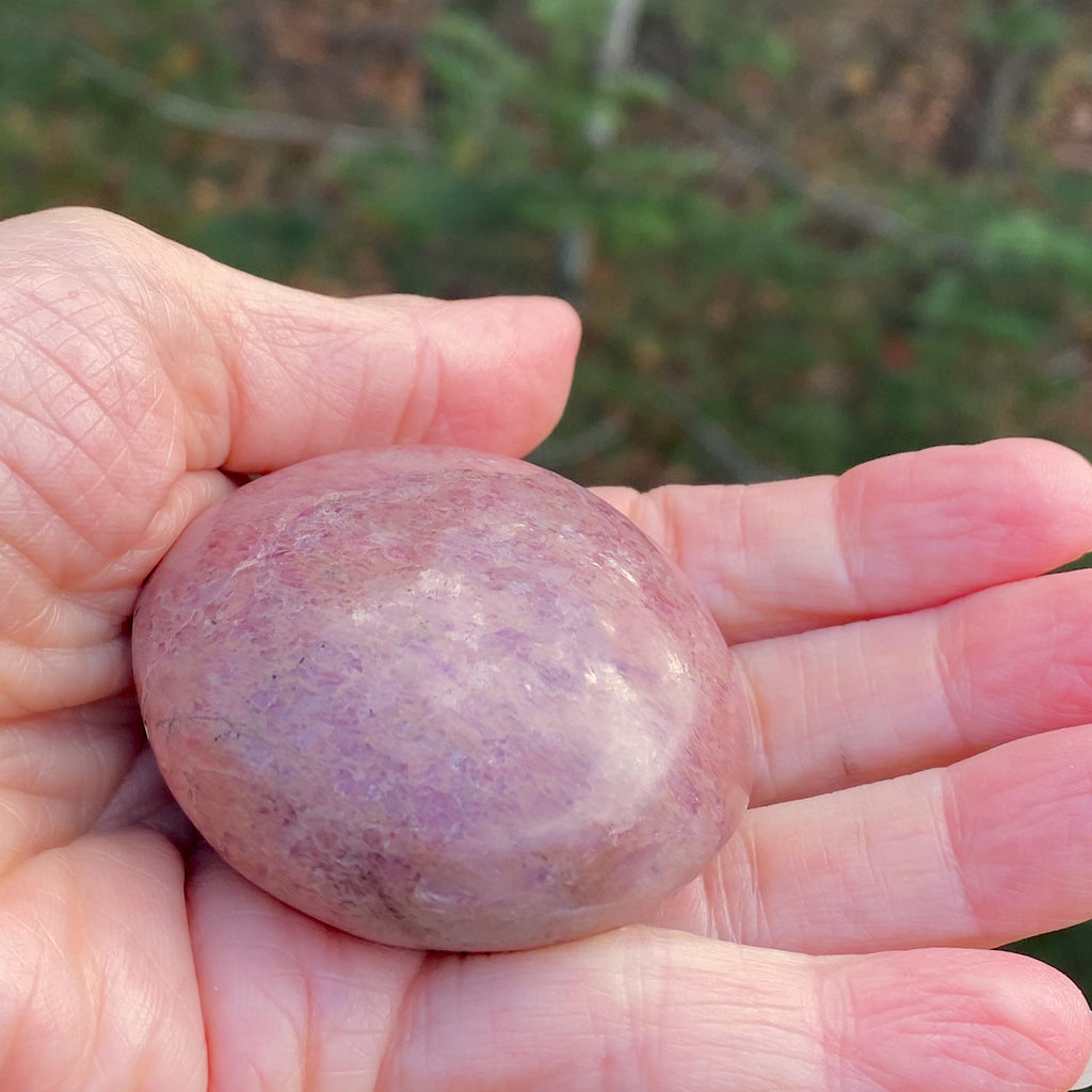 Rhodonite Palm Stone  Pink  Love Forgiveness 31683S