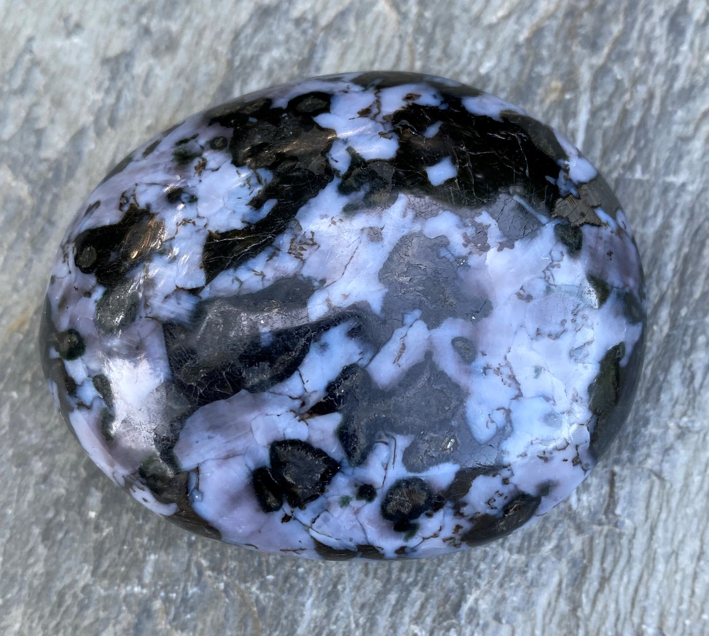 Mystic Merlinite Indigo Gabbro Palm Stone Intuition Magic 29007S