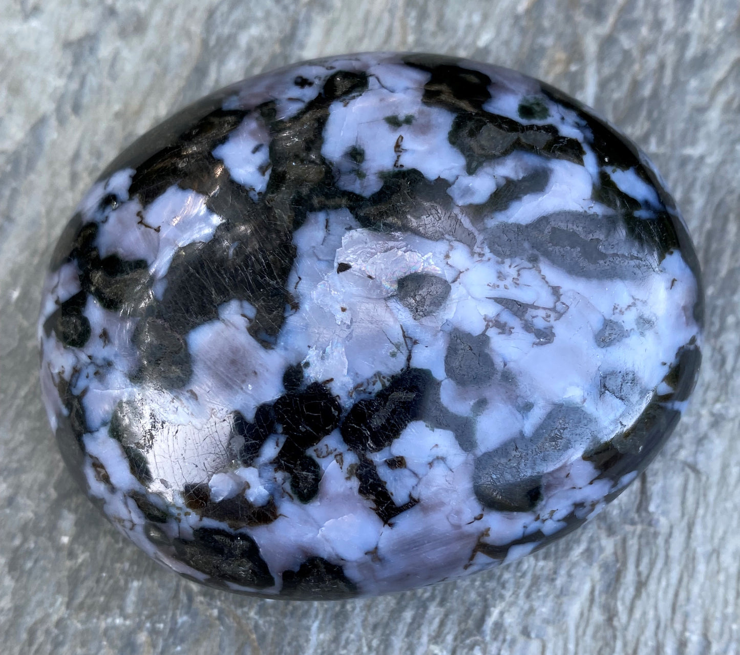 Mystic Merlinite Indigo Gabbro Palm Stone Intuition Magic 29007S