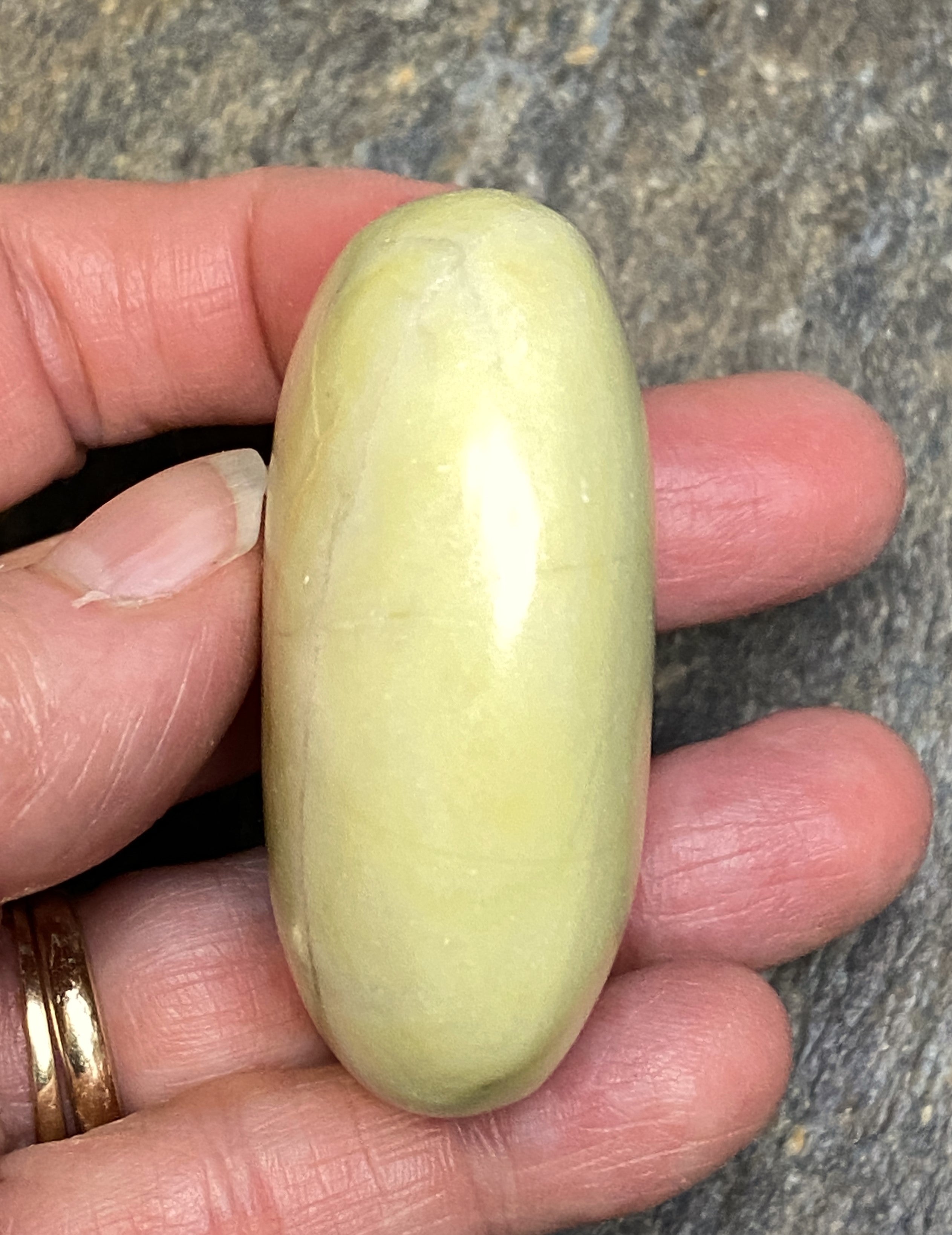 Serpentine Palm Stone  Green Yellow  Healing Wisdom Clearing 31719S