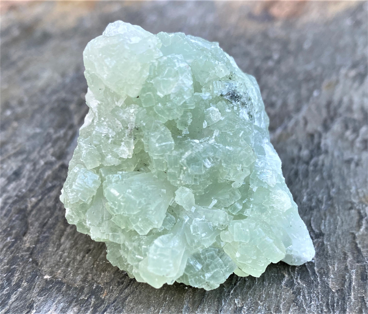 Prehnite Green Druzy Specimen  Healing Protective Harmony 29009S