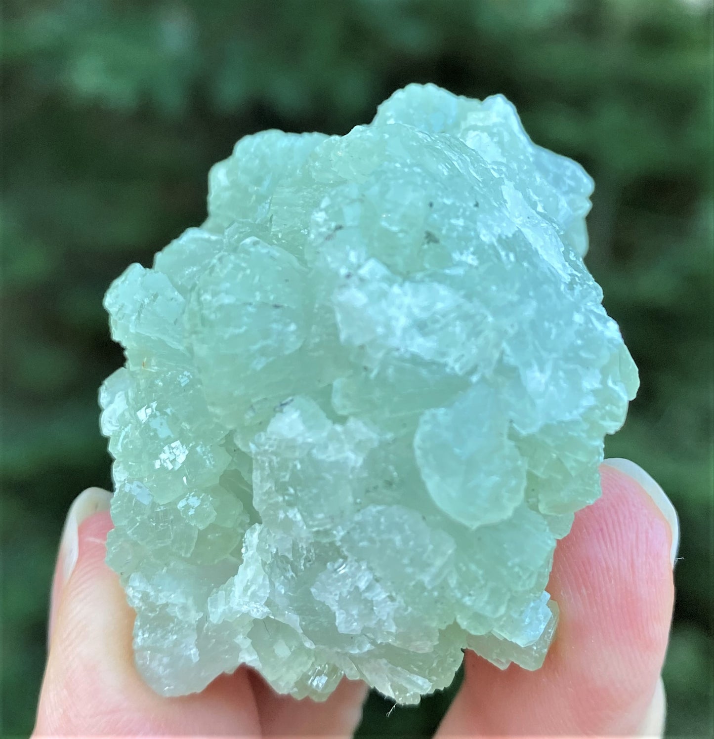 Prehnite Green Druzy Specimen  Healing Protective Harmony 29009S