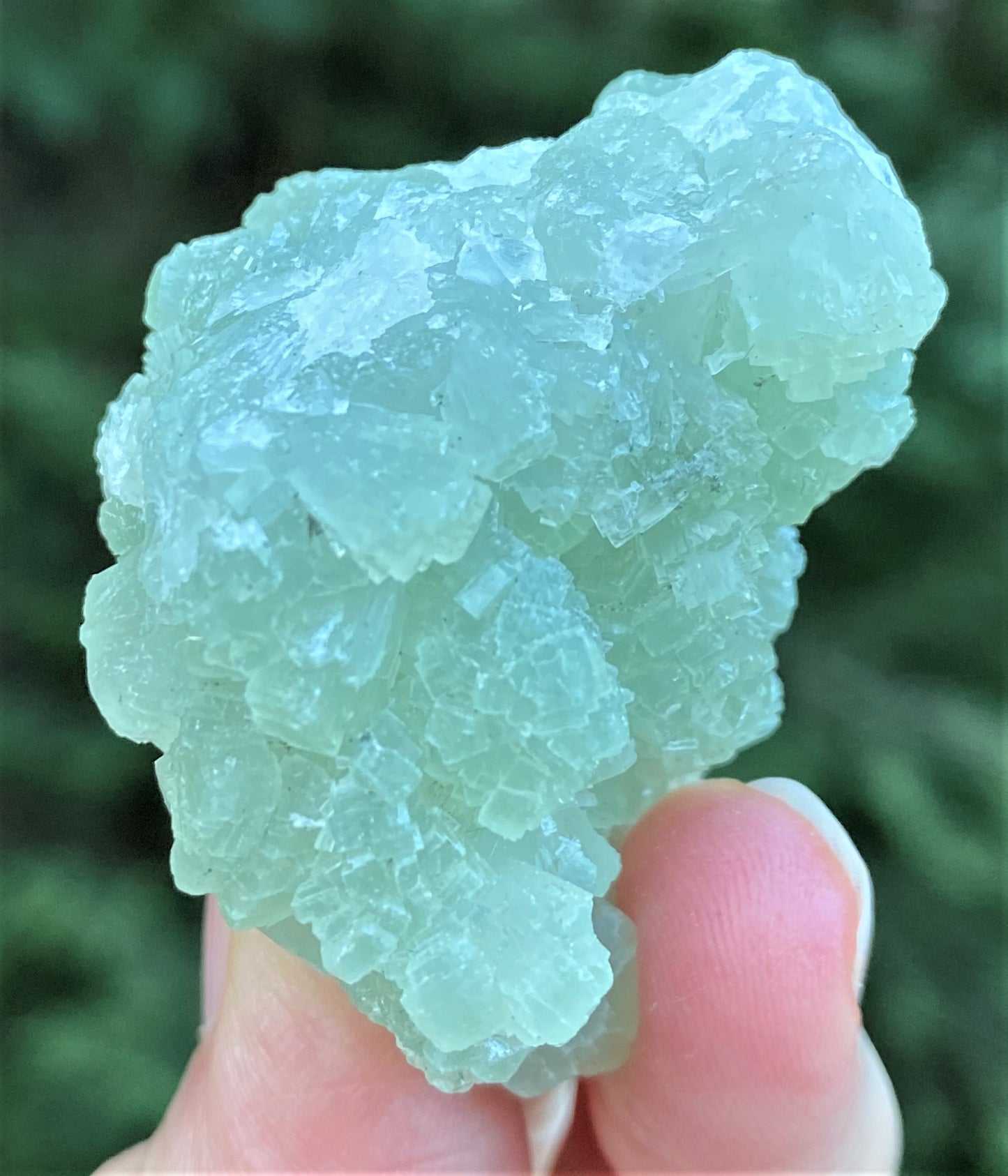 Prehnite Green Druzy Specimen  Healing Protective Harmony 29009S