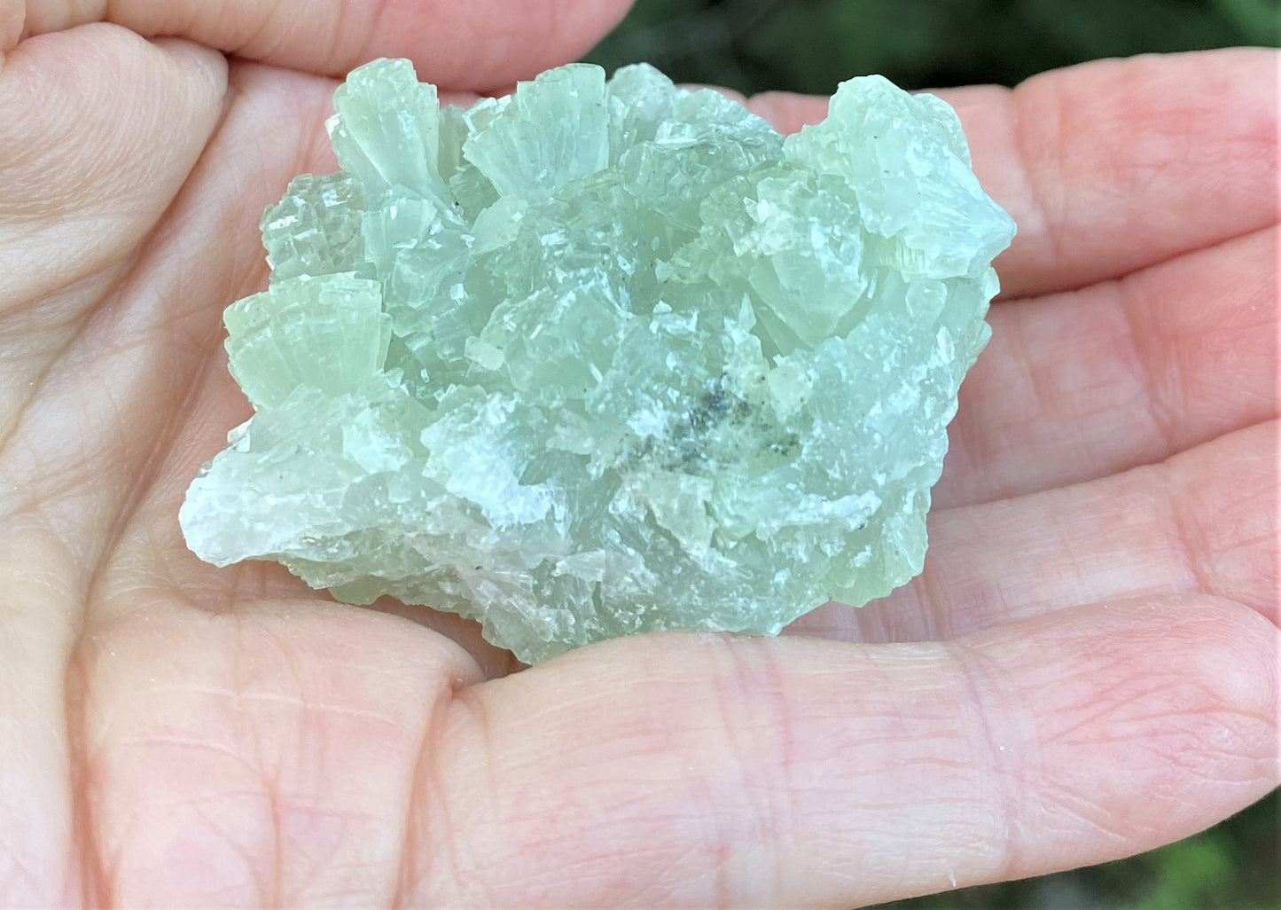 Prehnite Green Druzy Specimen  Healing Protective Harmony 29009S