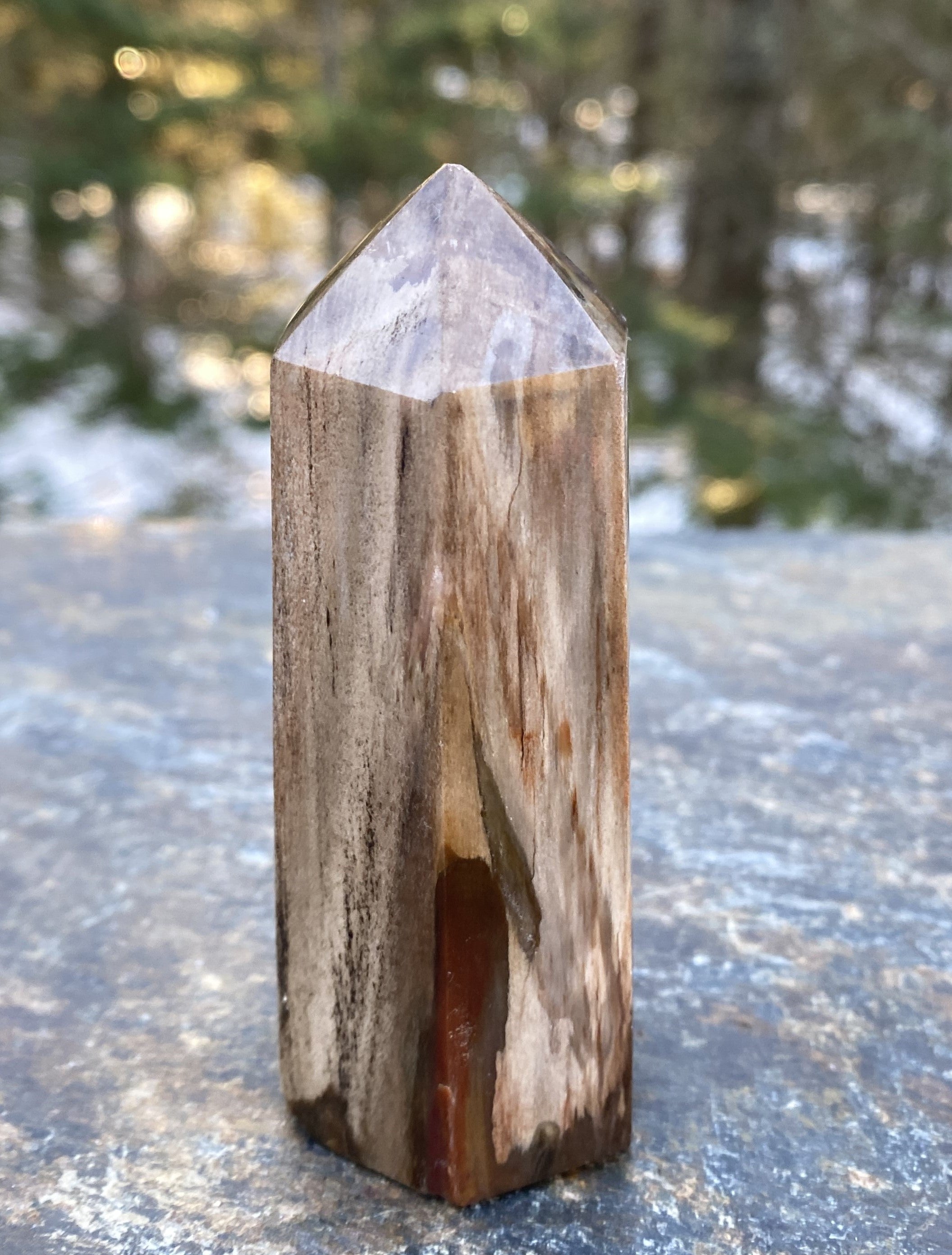 Petrified Wood  Tower Point  Grounding Protection Calm 31151S