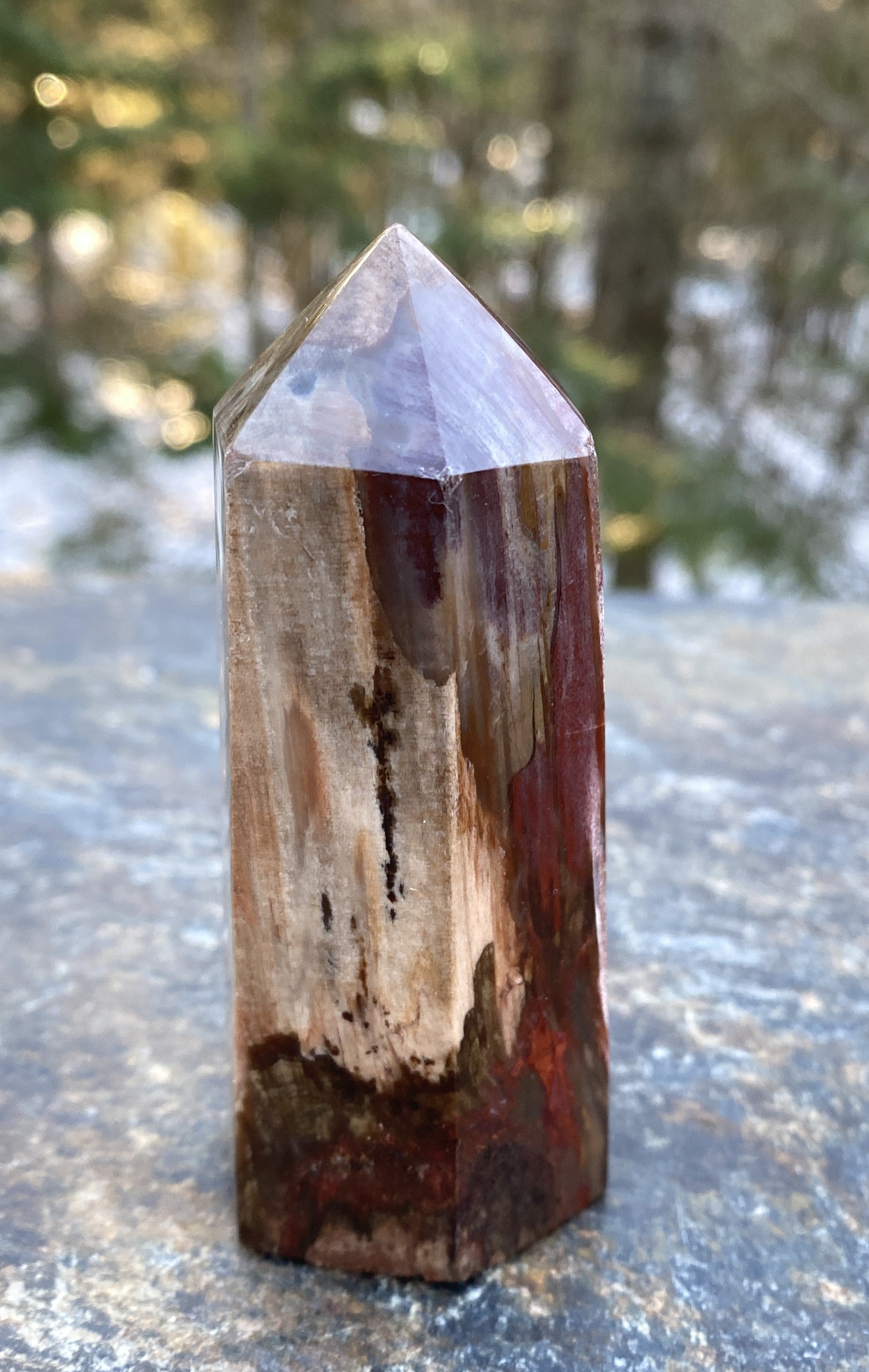 Petrified Wood  Tower Point  Grounding Protection Calm 31151S