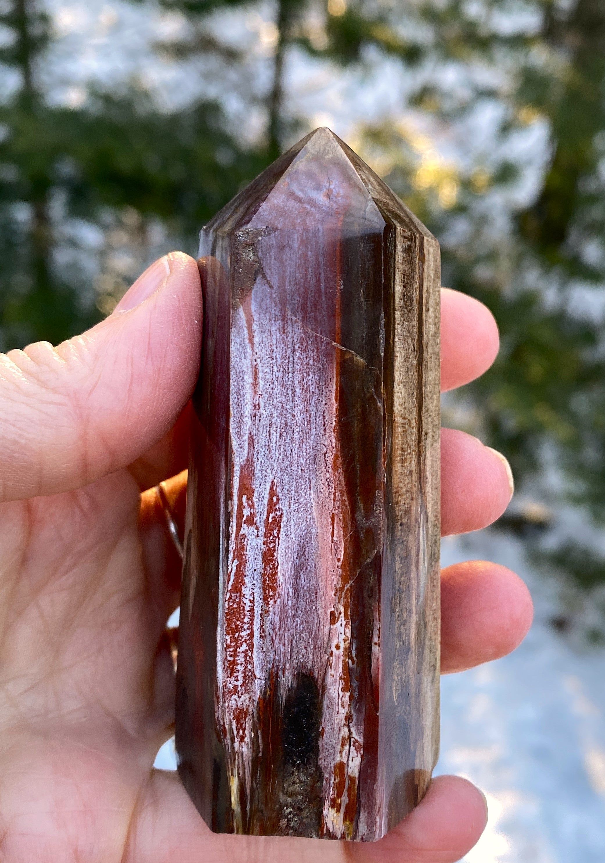 Petrified Wood  Tower Point  Grounding Protection Calm 31151S