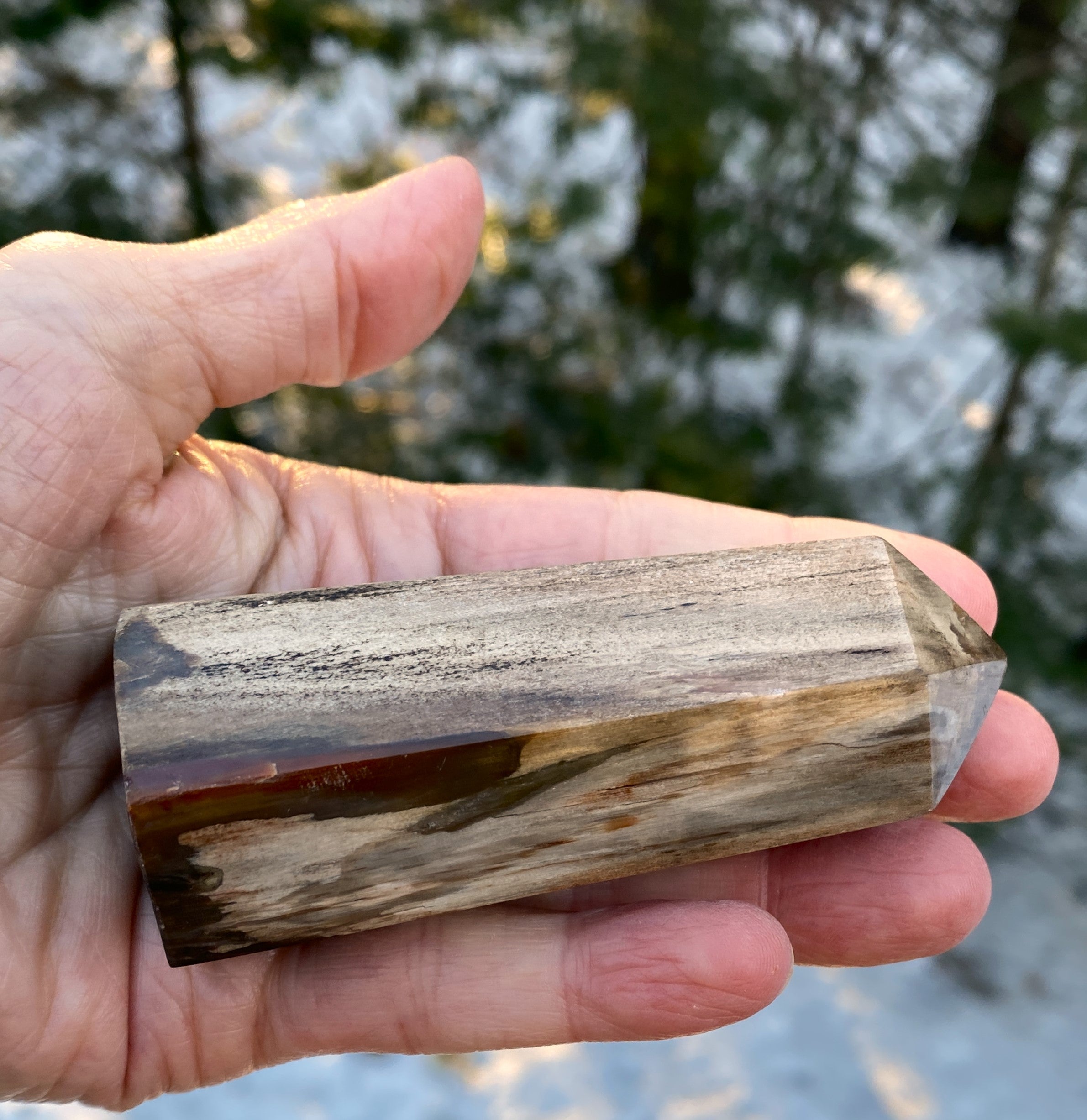 Petrified Wood  Tower Point  Grounding Protection Calm 31151S