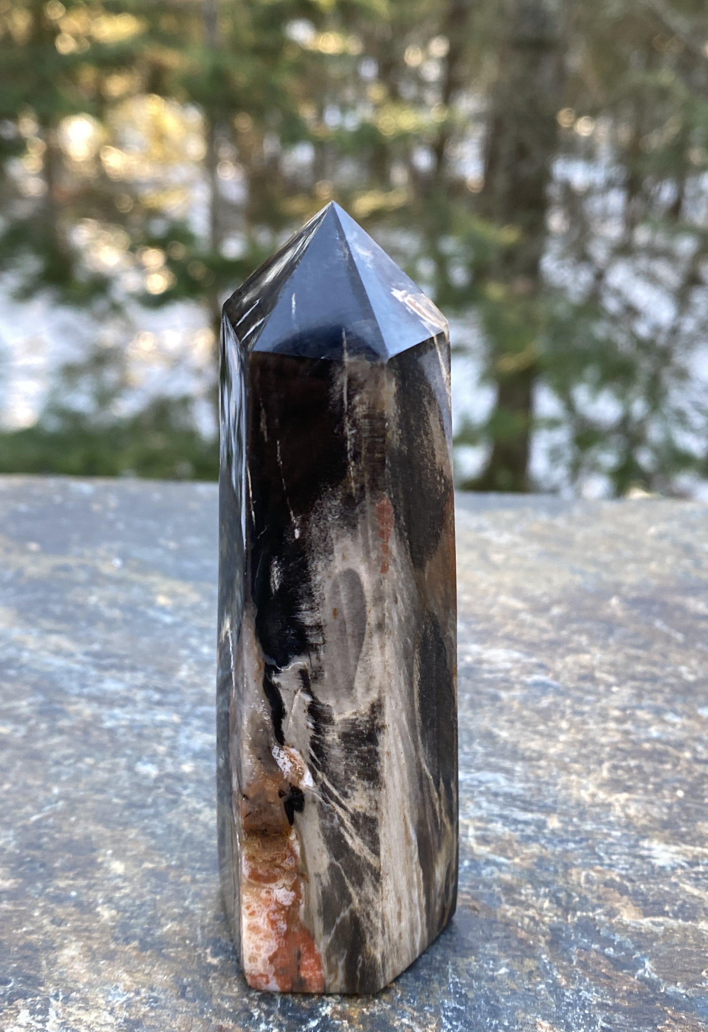 Petrified Wood  Tower Point  Grounding Protection Calm 31152S