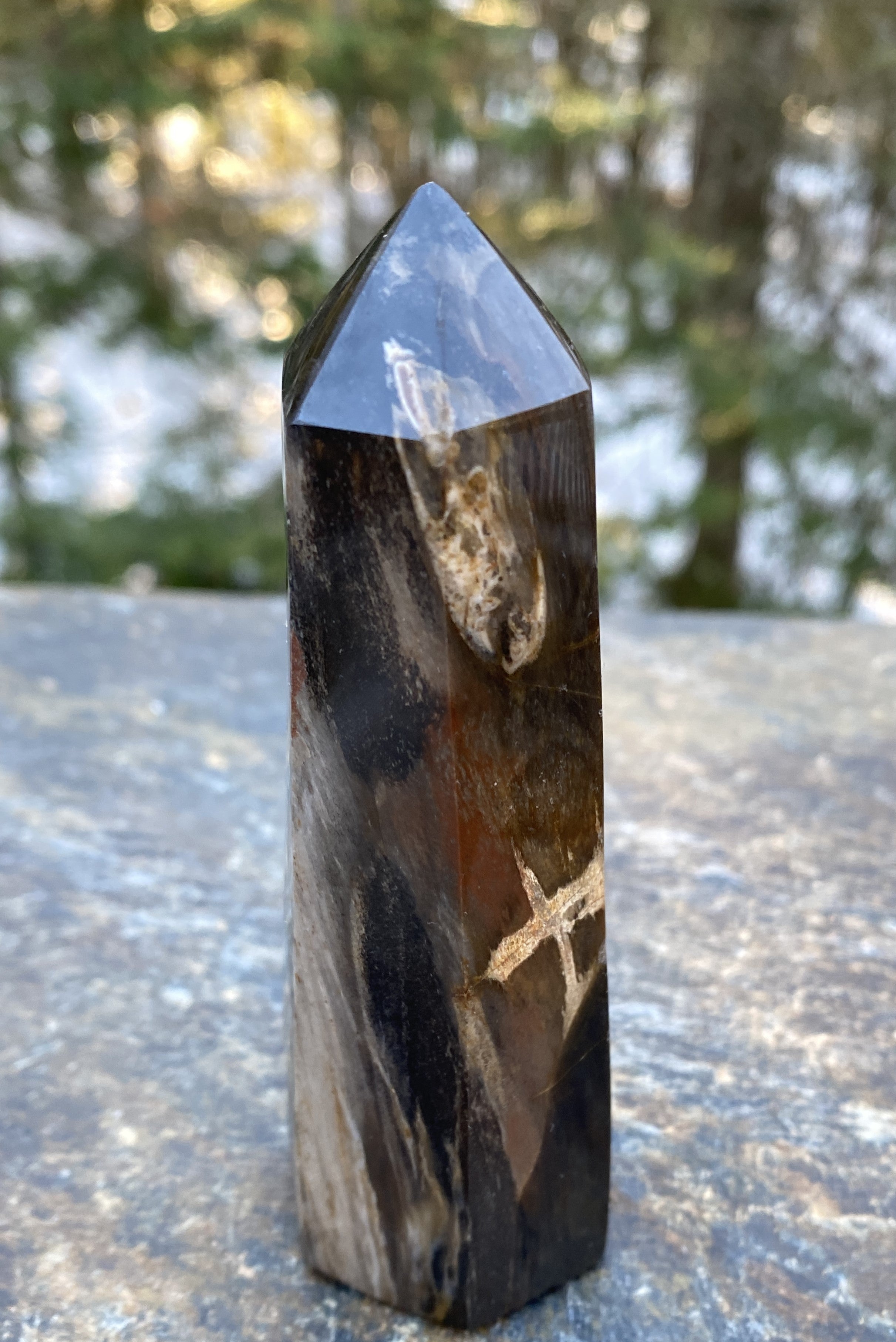 Petrified Wood  Tower Point  Grounding Protection Calm 31152S