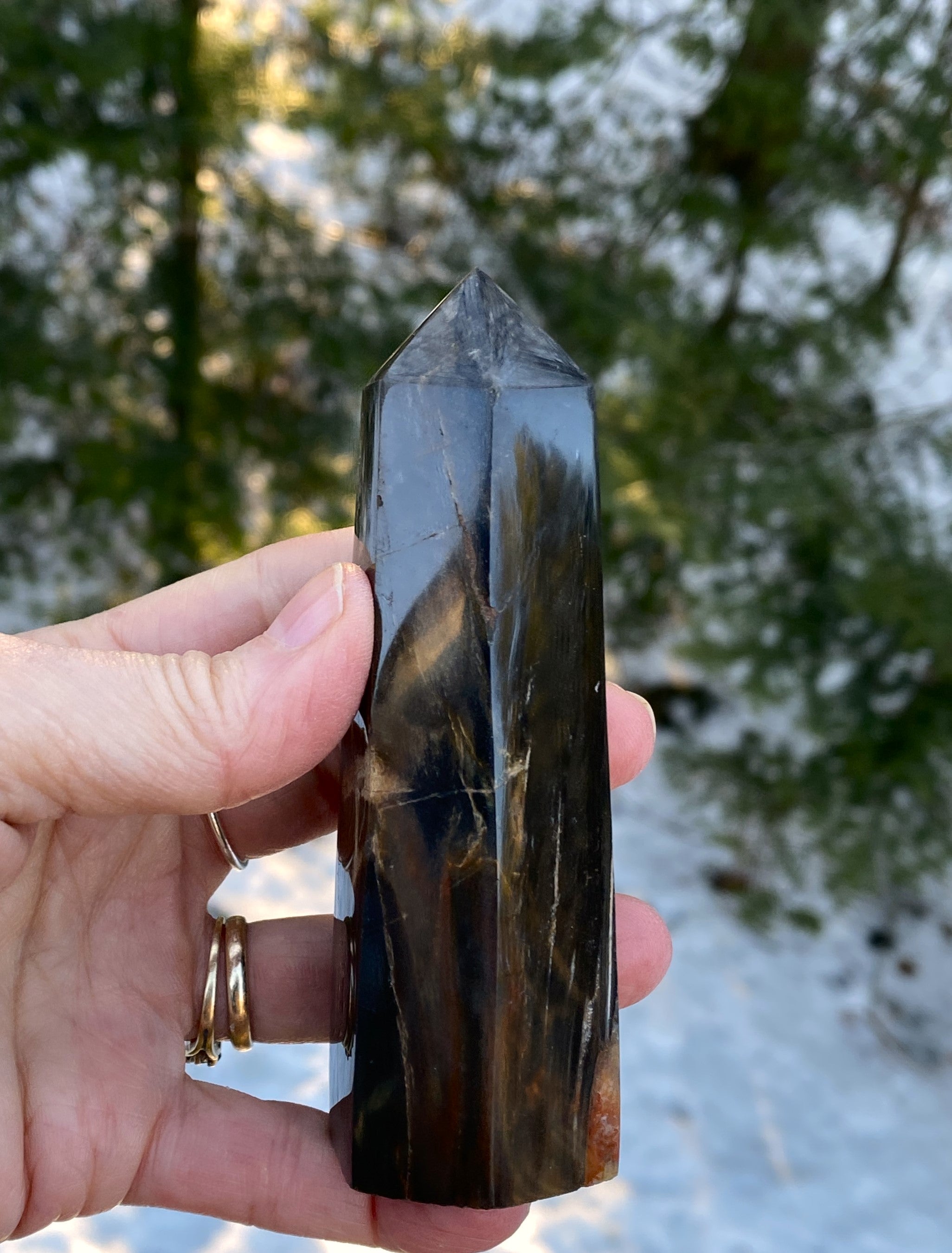 Petrified Wood  Tower Point  Grounding Protection Calm 31152S