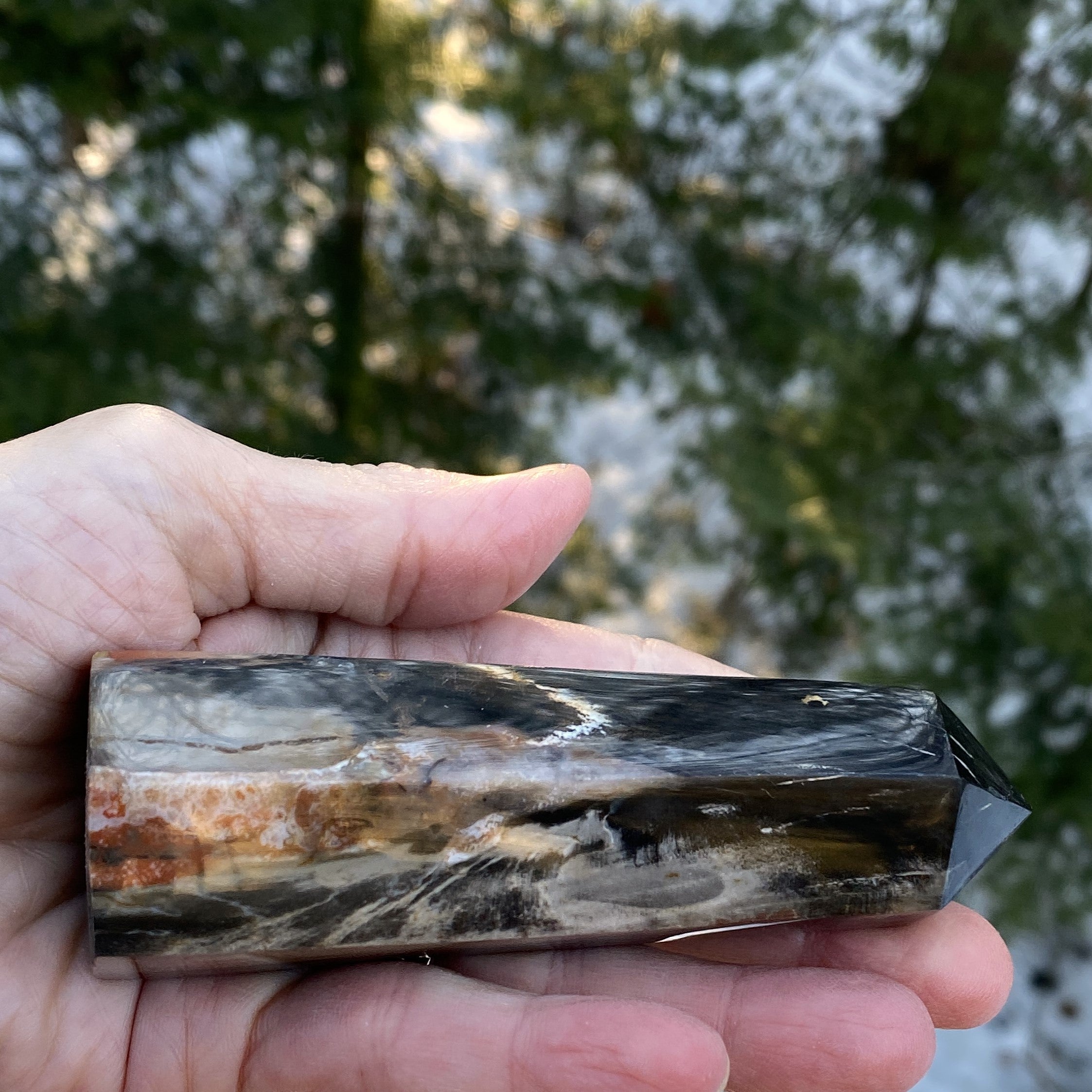 Petrified Wood  Tower Point  Grounding Protection Calm 31152S