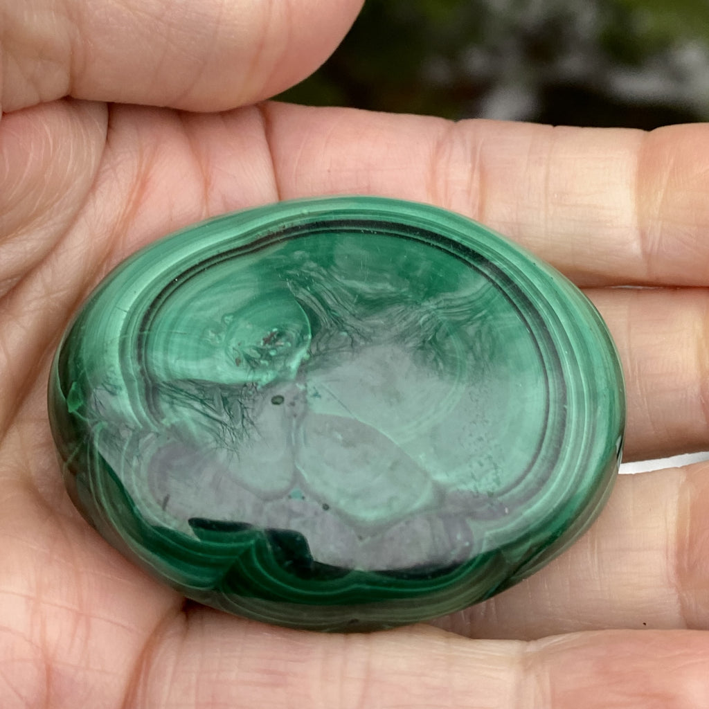 Malachite  Medium Palm Stone  Protection Abundance 31148S