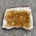 Citrine Druzy Specimen  Prosperity Protection 31153S