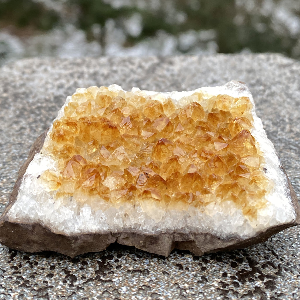 Citrine Druzy Specimen  Prosperity Protection 31153S