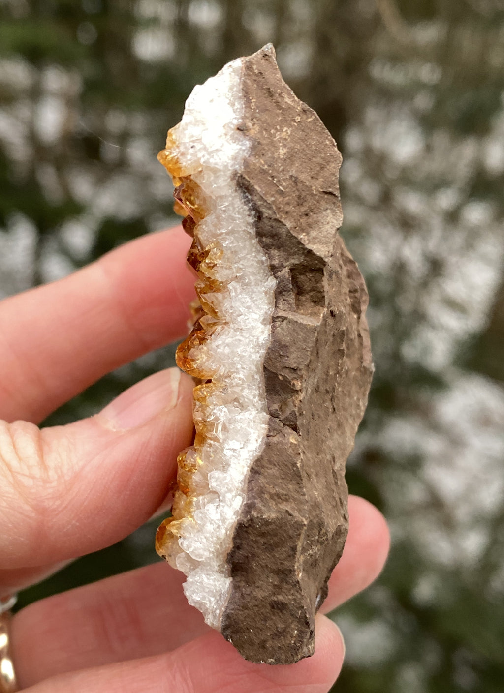 Citrine Druzy Specimen  Prosperity Protection 31153S