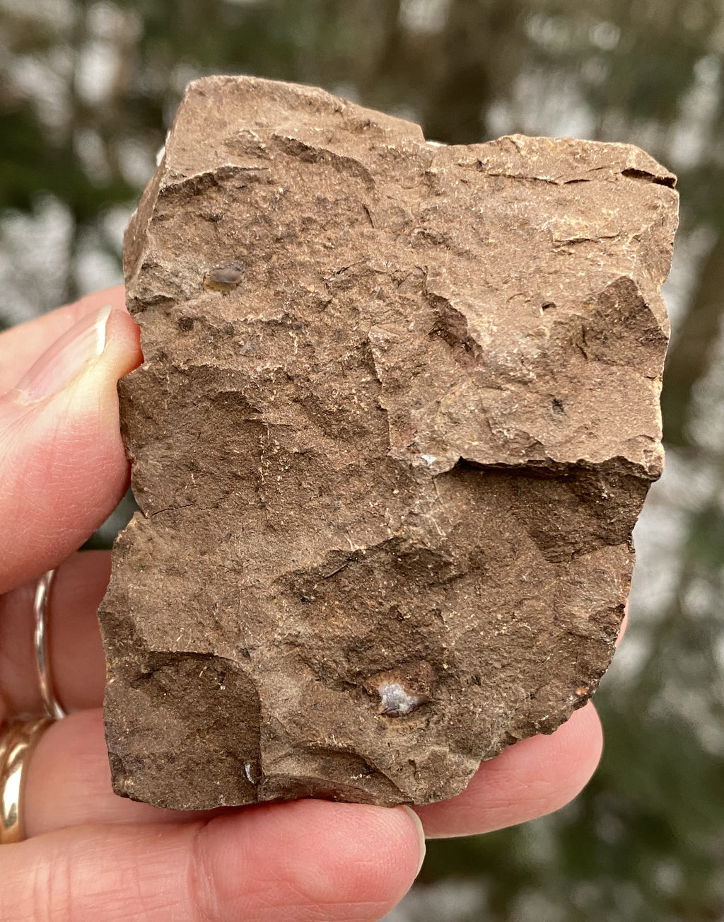 Citrine Druzy Specimen  Prosperity Protection 31153S