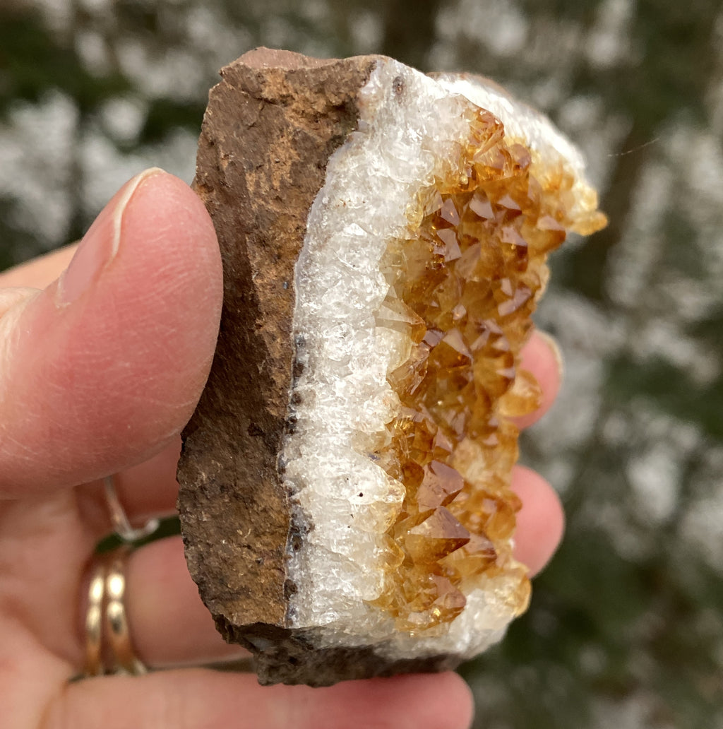 Citrine Druzy Specimen  Prosperity Protection 31153S