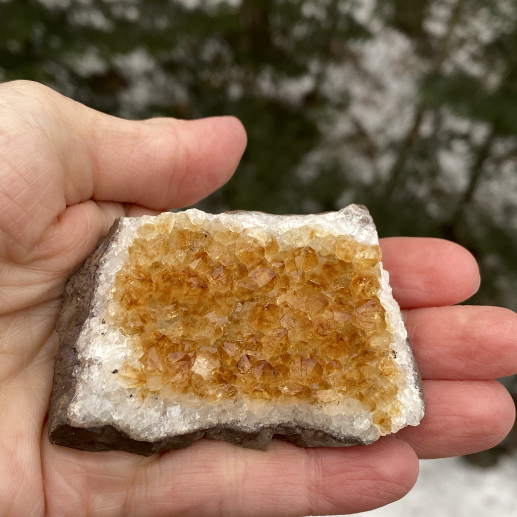 Citrine Druzy Specimen  Prosperity Protection 31153S