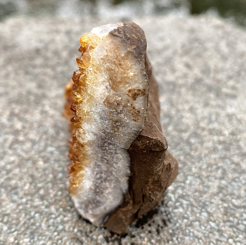 Citrine Druzy Specimen  Prosperity Protection 31154S