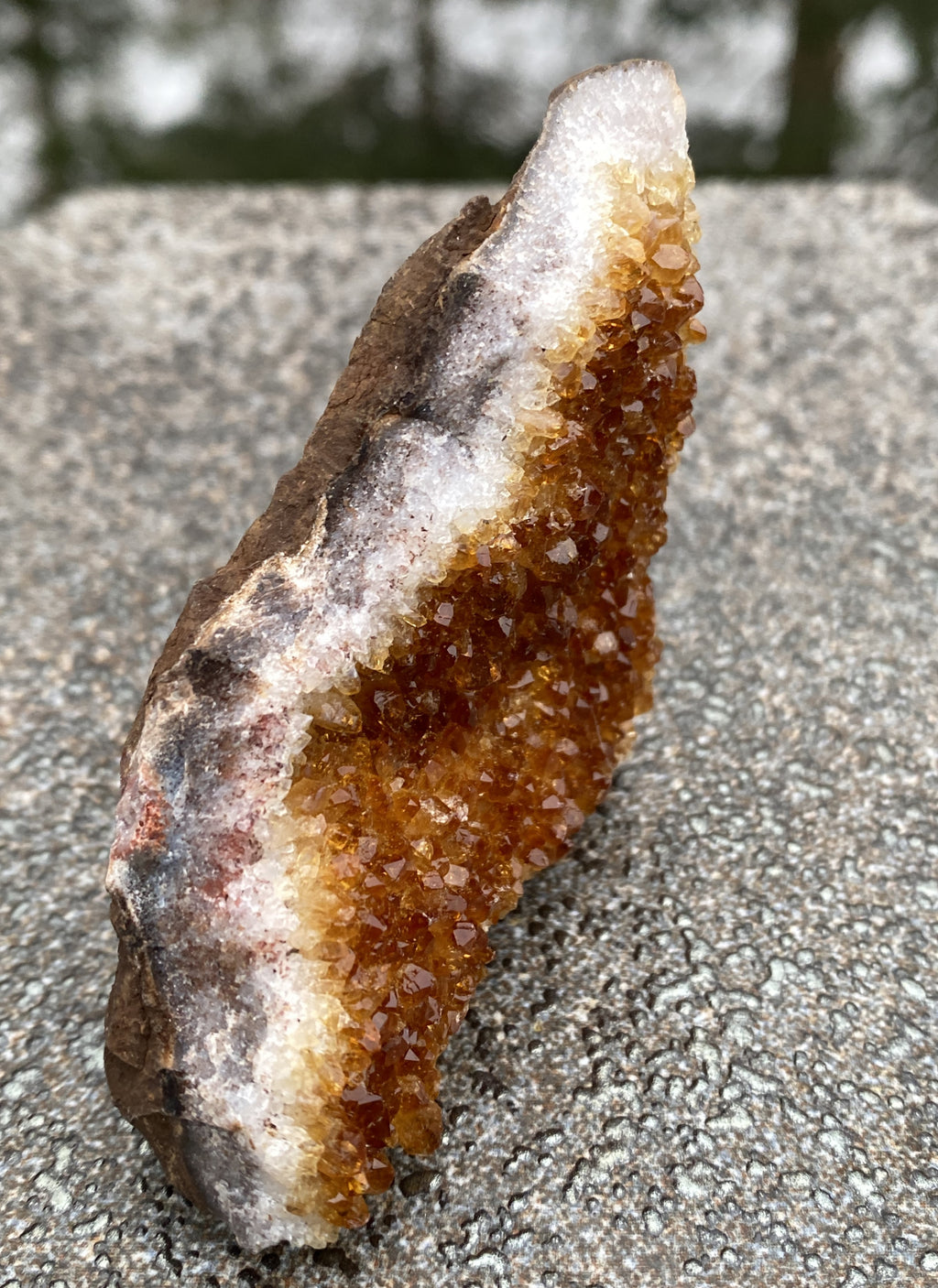 Citrine Druzy Specimen  Prosperity Protection 31154S