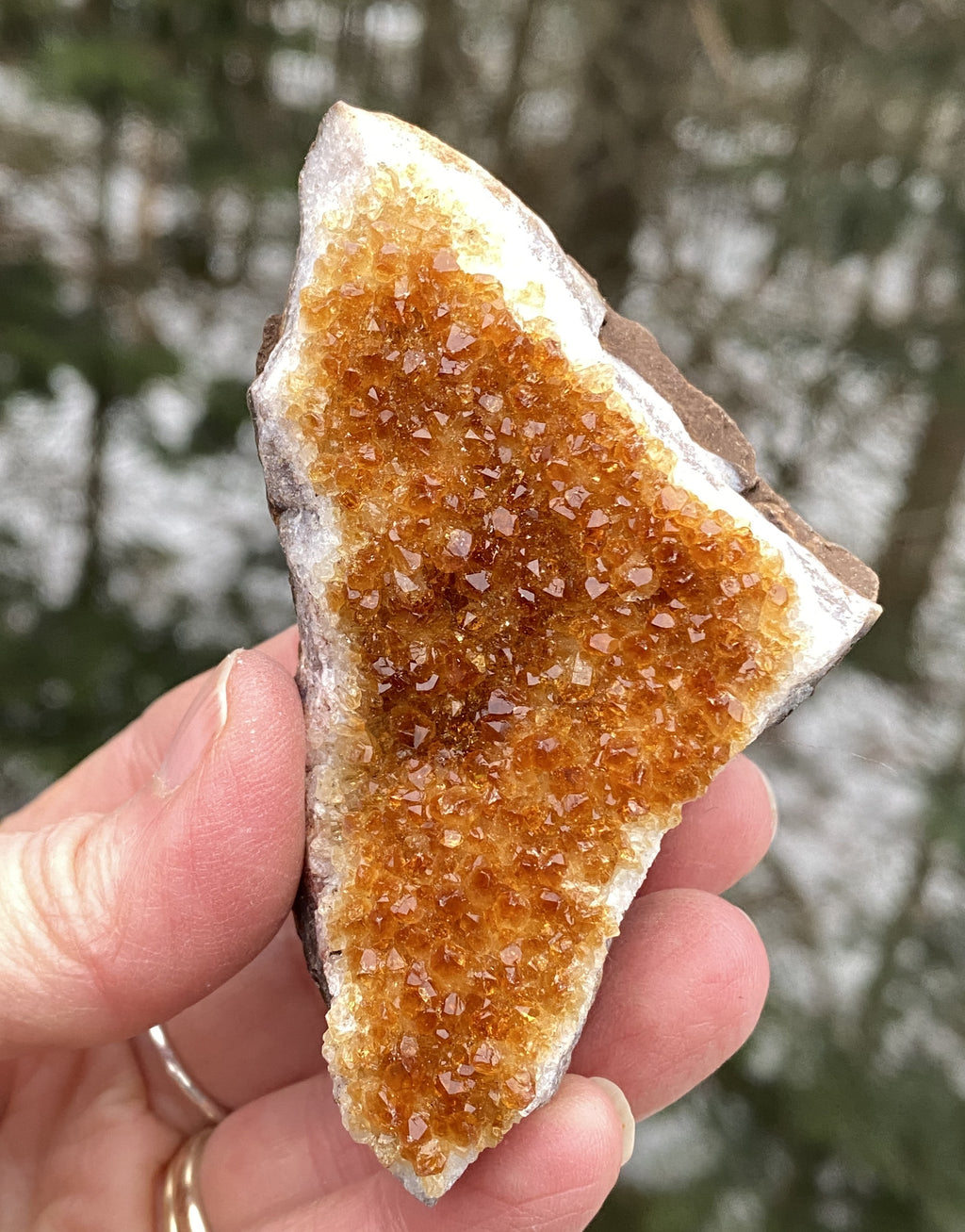 Citrine Druzy Specimen  Prosperity Protection 31154S
