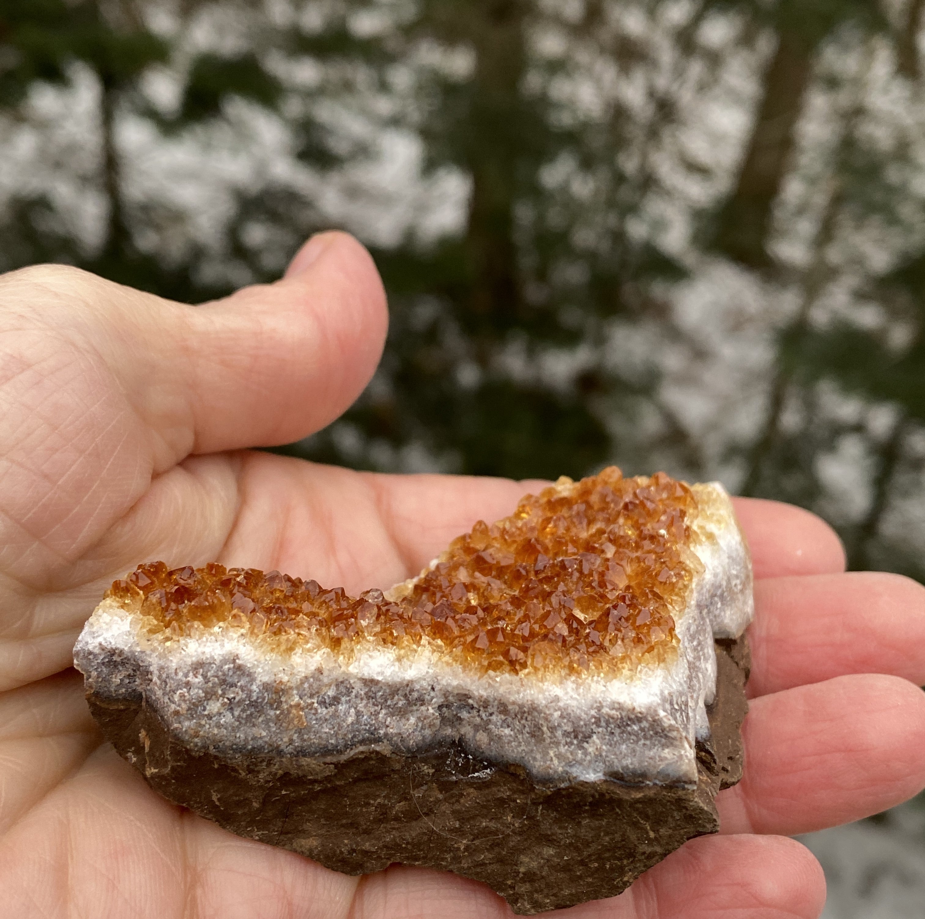 Citrine Druzy Specimen  Prosperity Protection 31154S