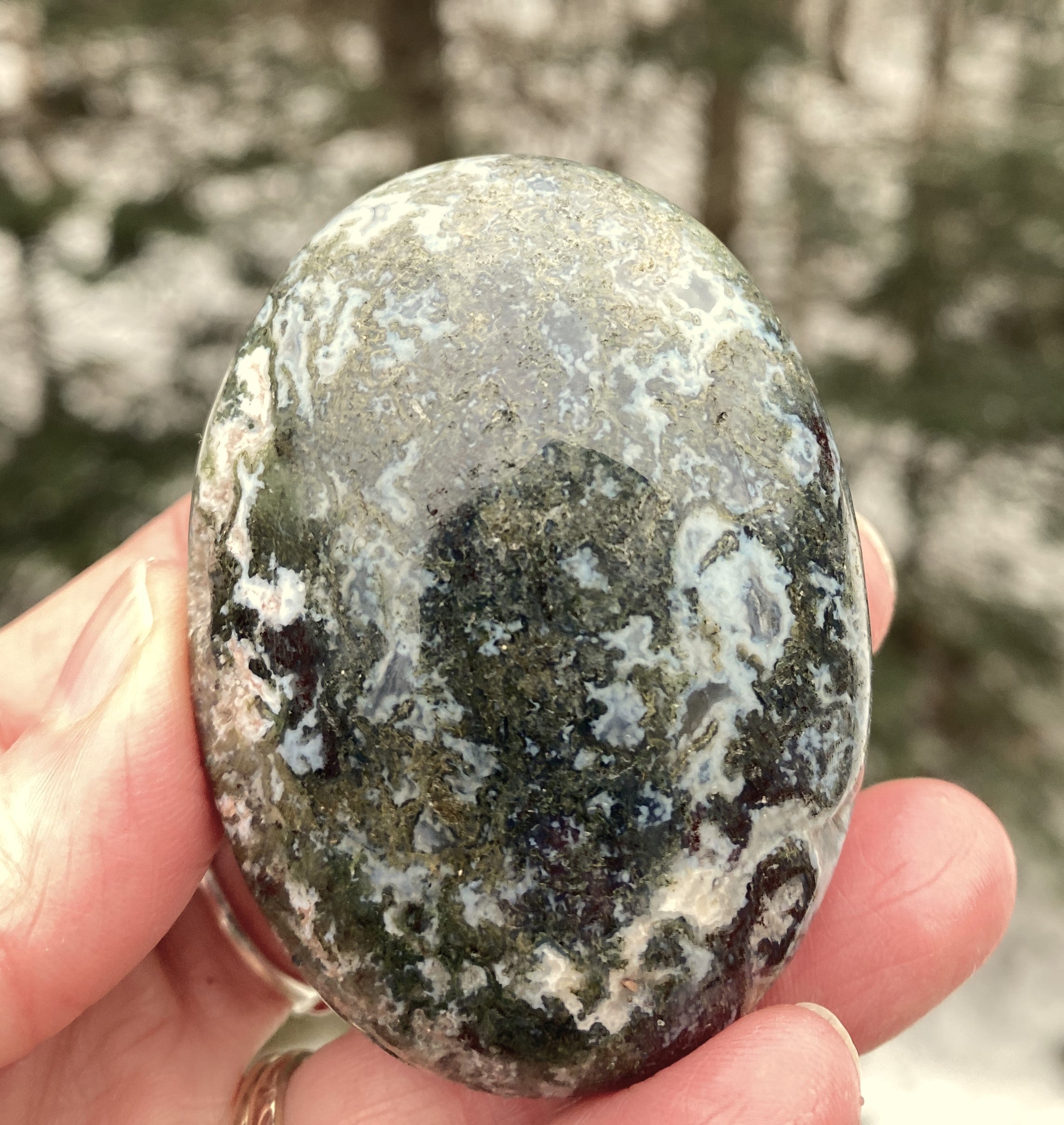 Moss Agate w/ Rare Red Agate  Palm Stone  Grounding Stability 31204S