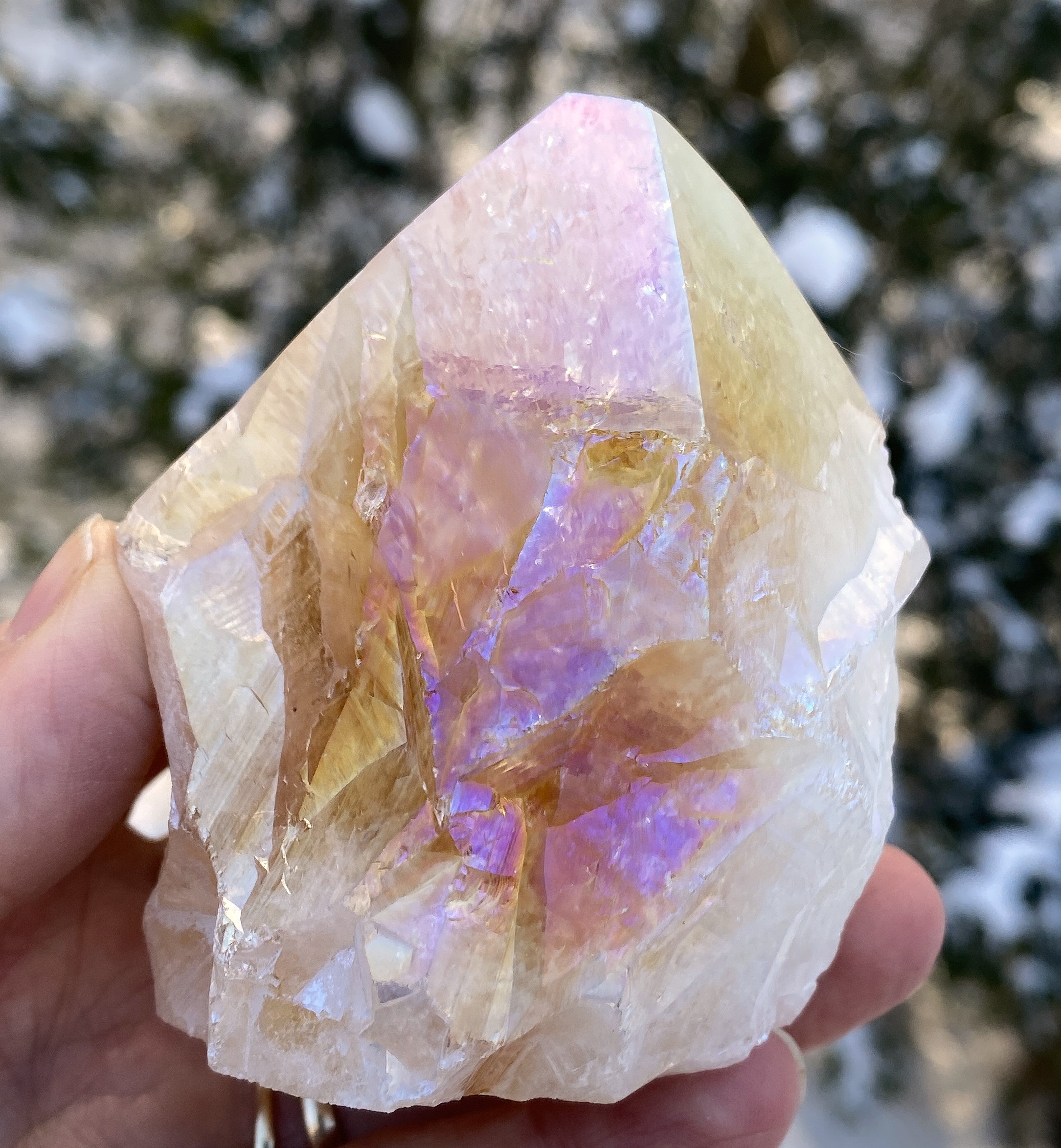 Angel Aura Citrine Quartz Point  Raw Polished  Peace Abundance 31180S