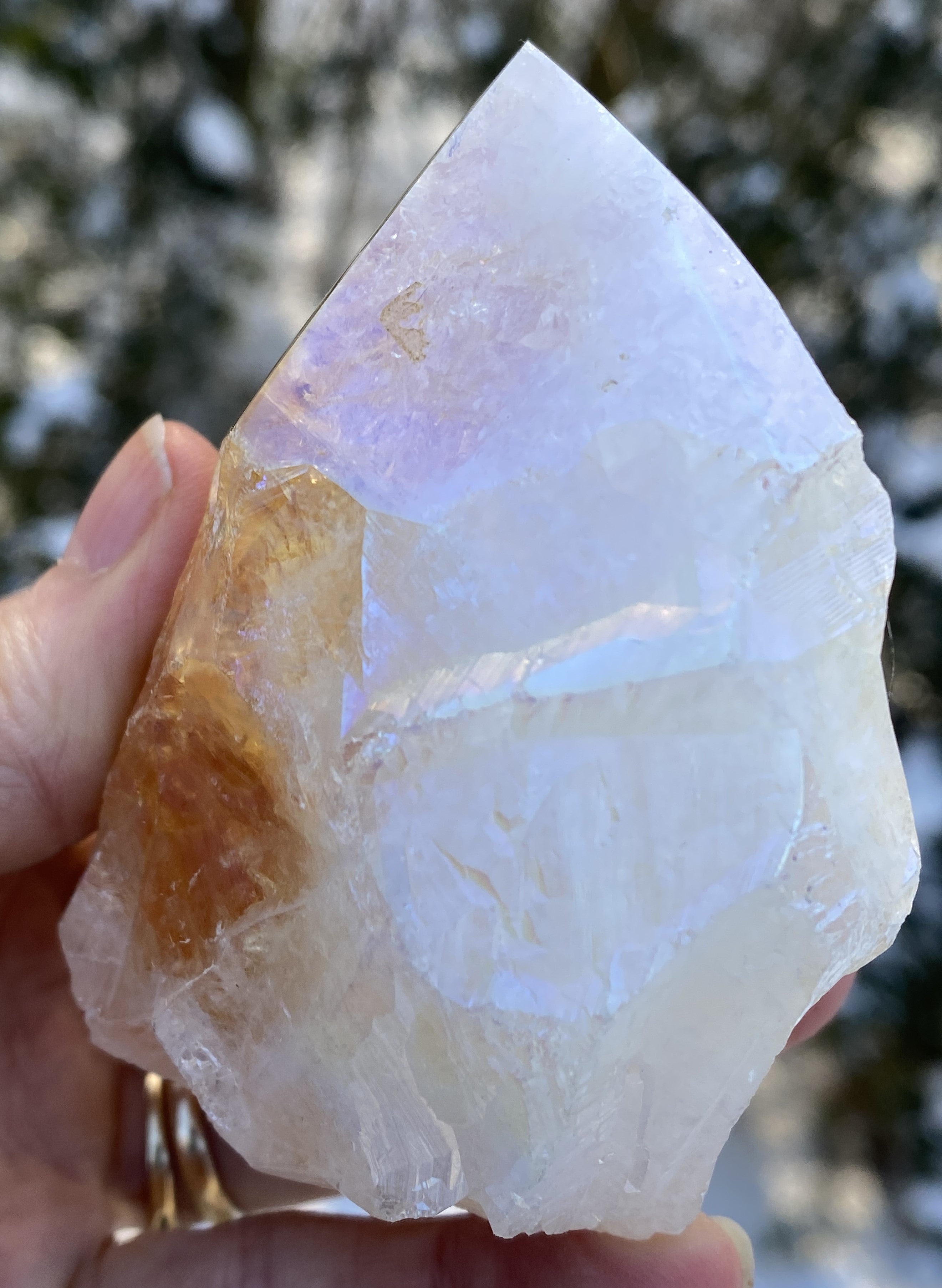 Angel Aura Citrine Quartz Point  Raw Polished  Peace Abundance 31180S