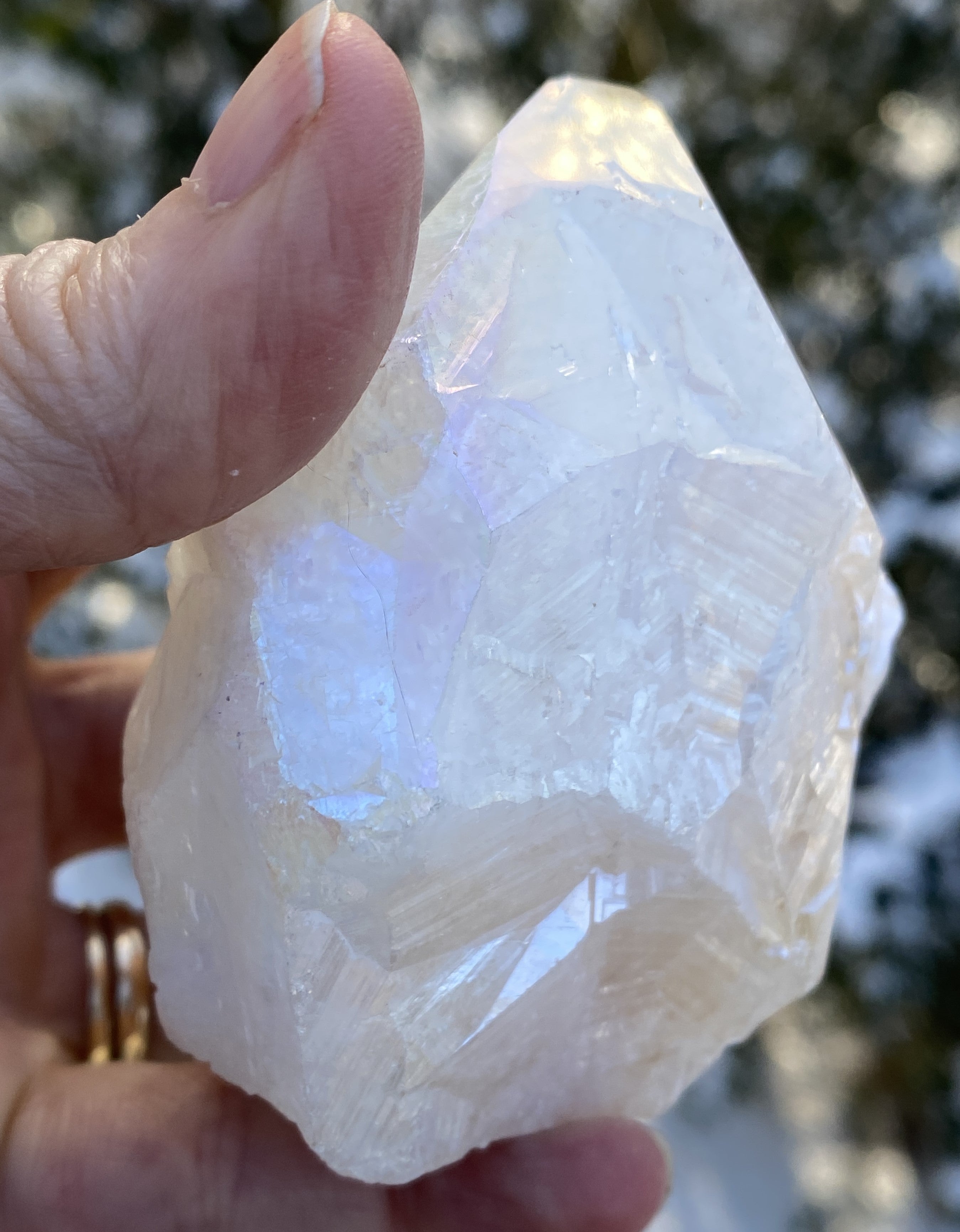 Angel Aura Citrine Quartz Point  Raw Polished  Peace Abundance 31180S