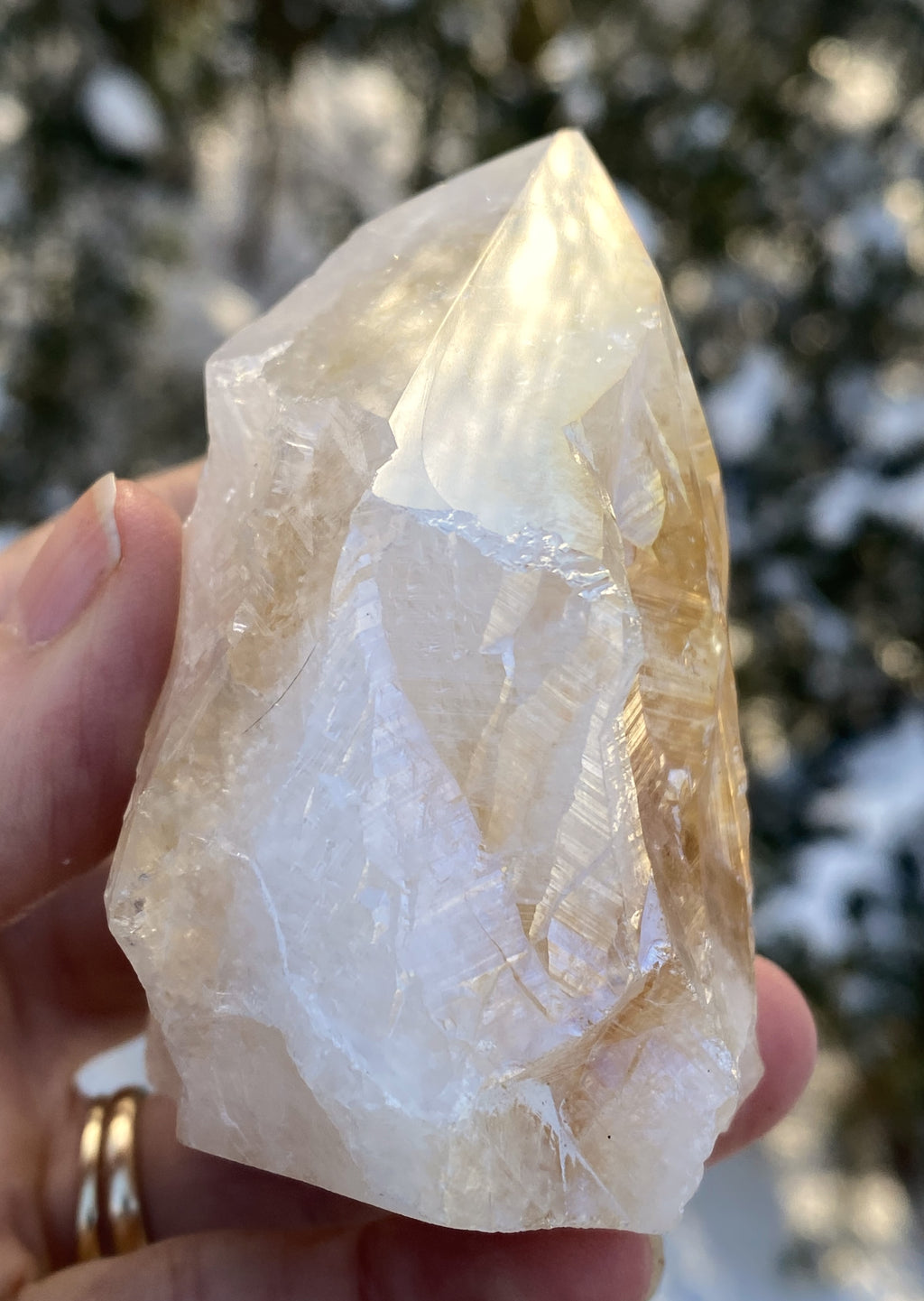 Angel Aura Citrine Quartz Point  Raw Polished  Peace Abundance 31180S