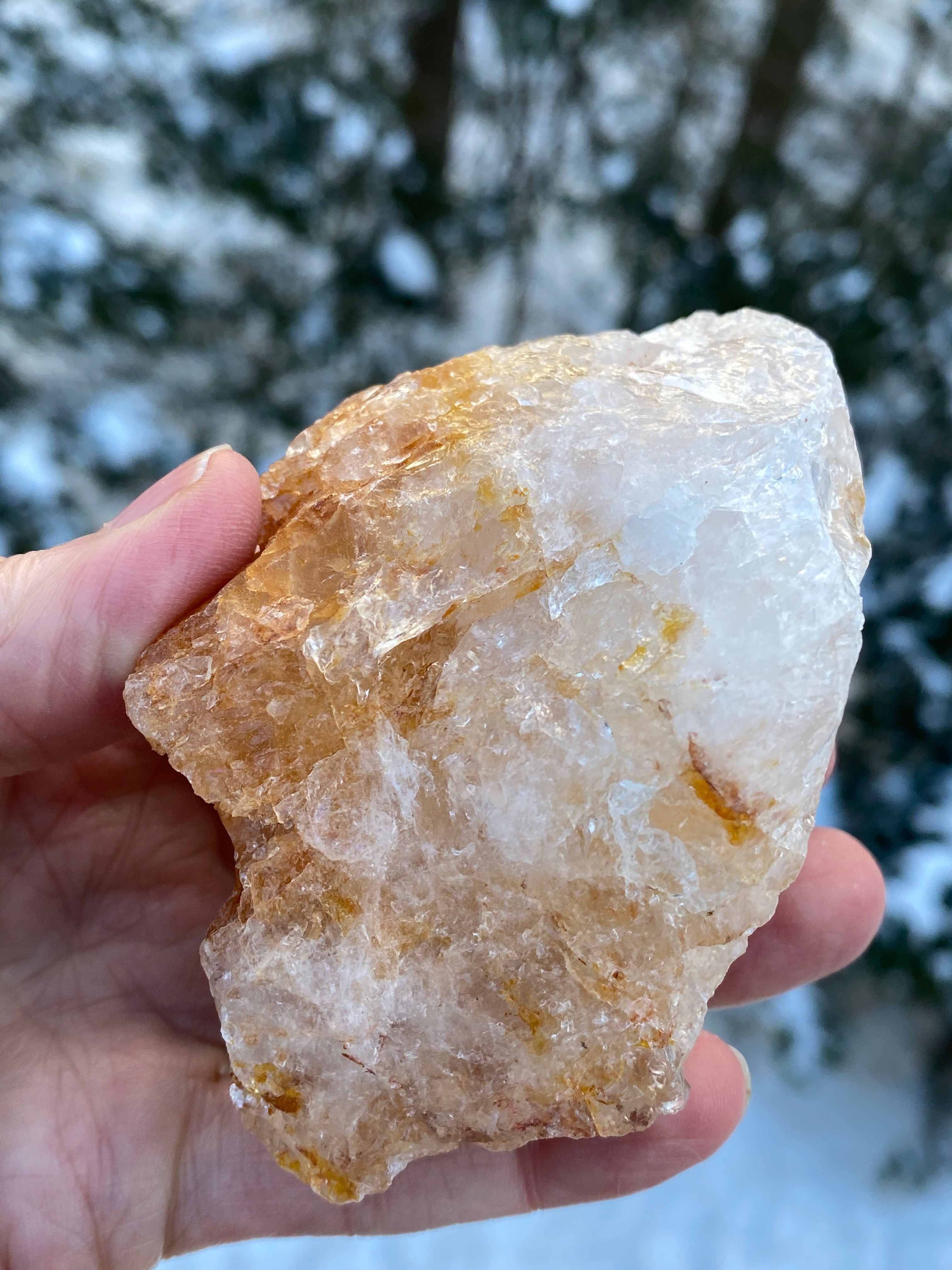 Golden Healer Quartz  Raw Specimen  Healing Protection 31181S