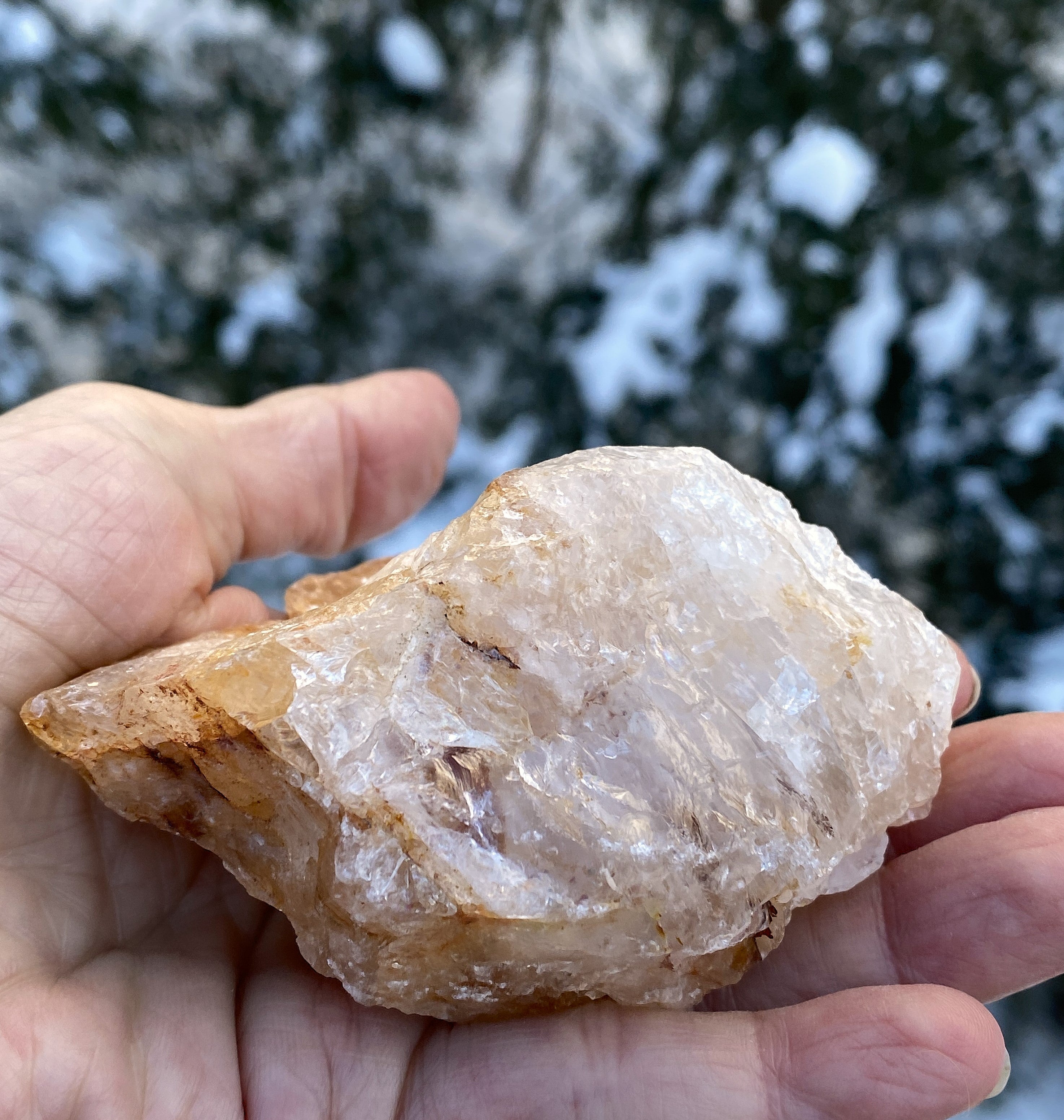 Golden Healer Quartz  Raw Specimen  Healing Protection 31181S