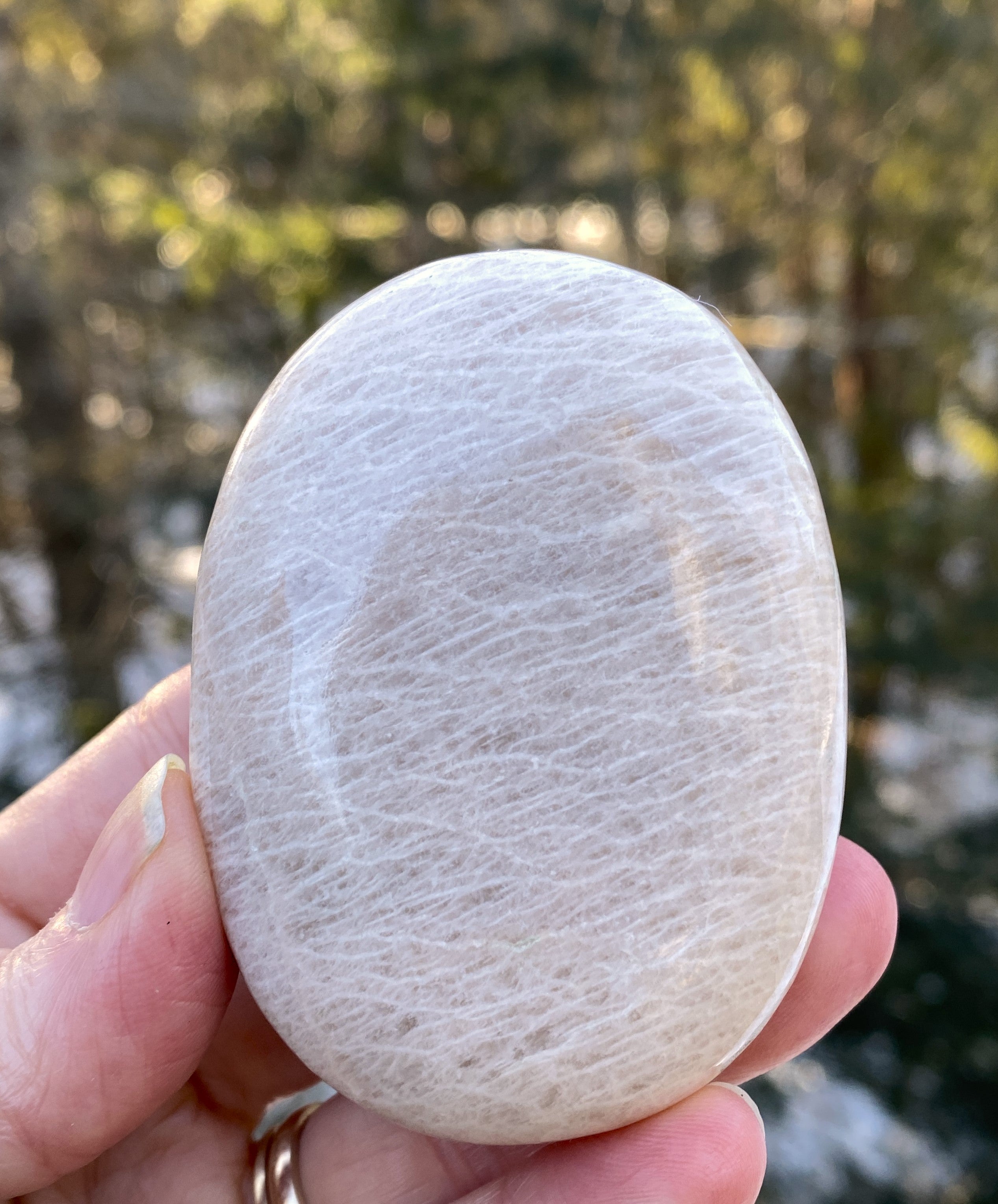 Moonstone Palm Stone  Abundance Protection 31226S