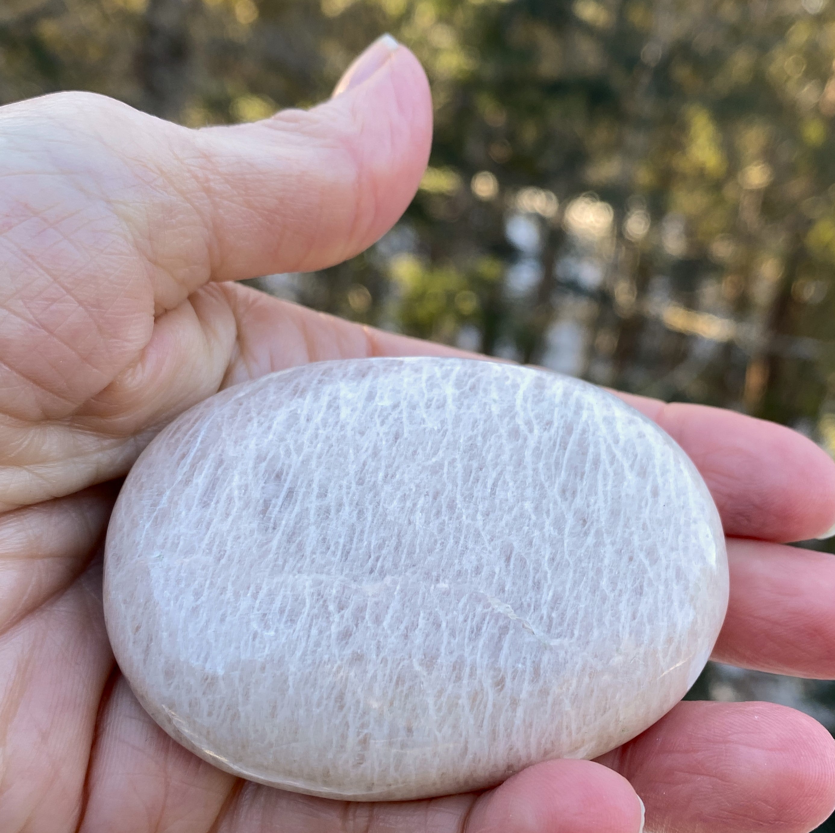 Moonstone Palm Stone  Abundance Protection 31226S
