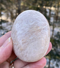 Moonstone Palm Stone  Abundance Protection 31227S