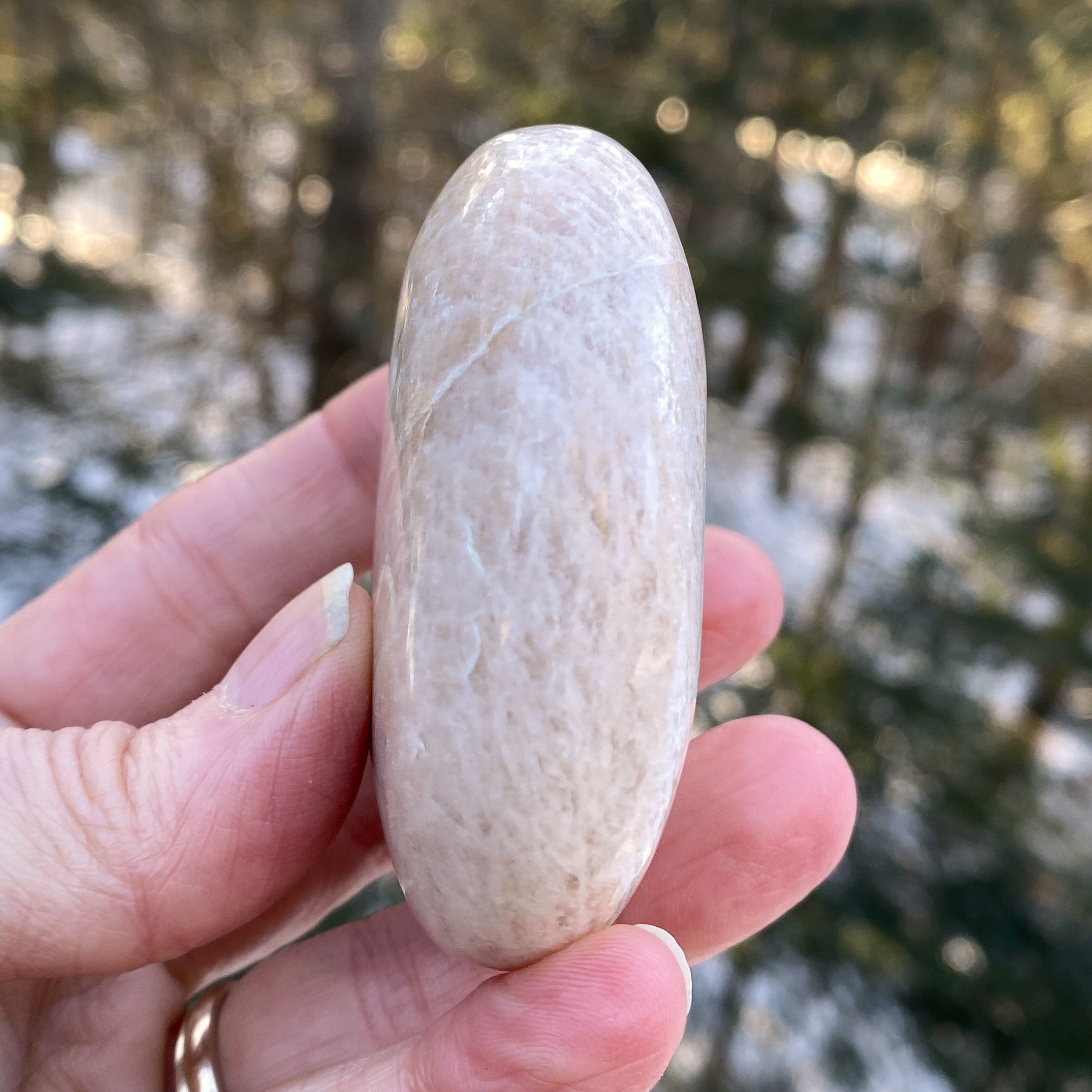 Moonstone Palm Stone  Abundance Protection 31227S