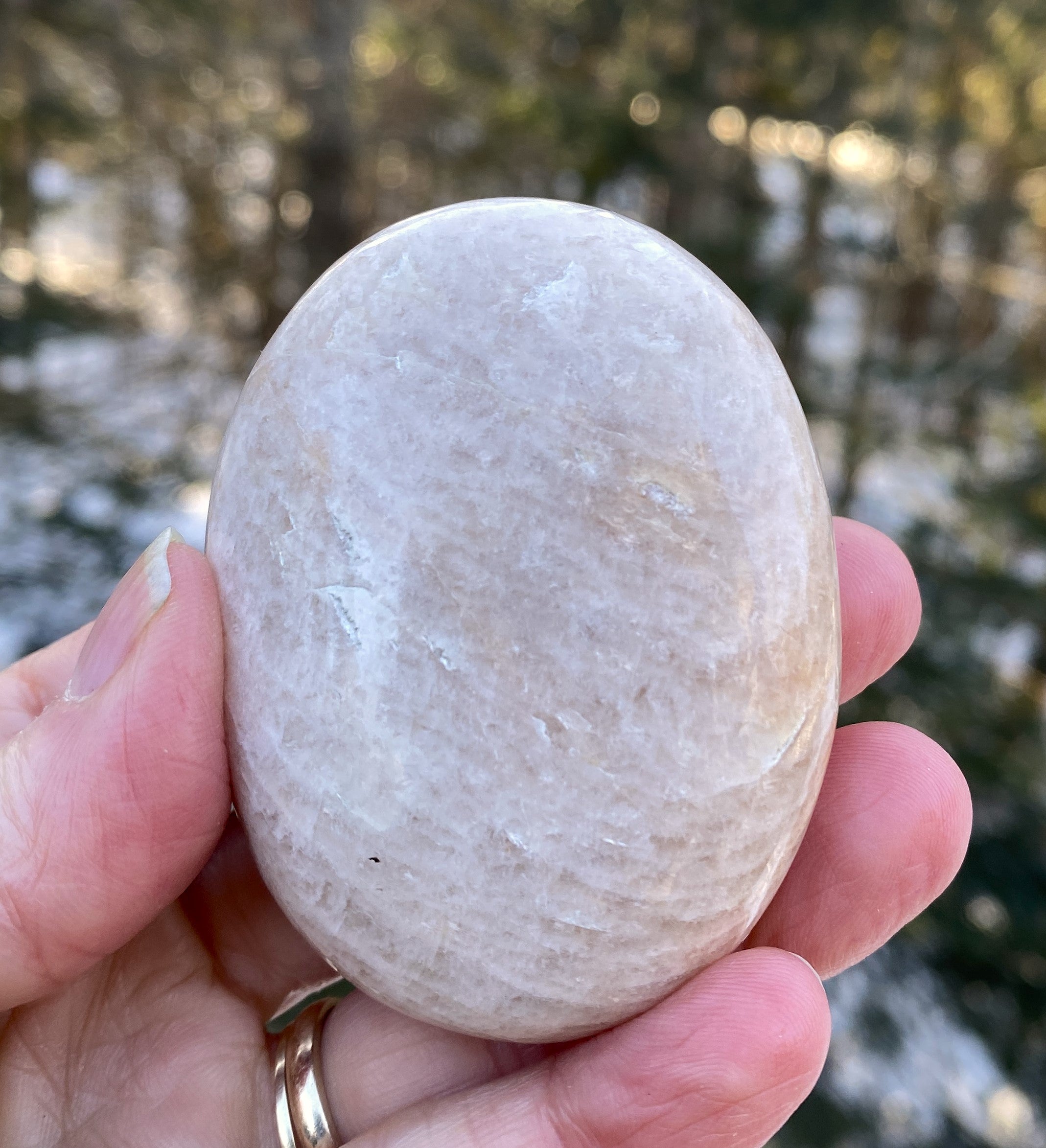 Moonstone Palm Stone  Abundance Protection 31227S