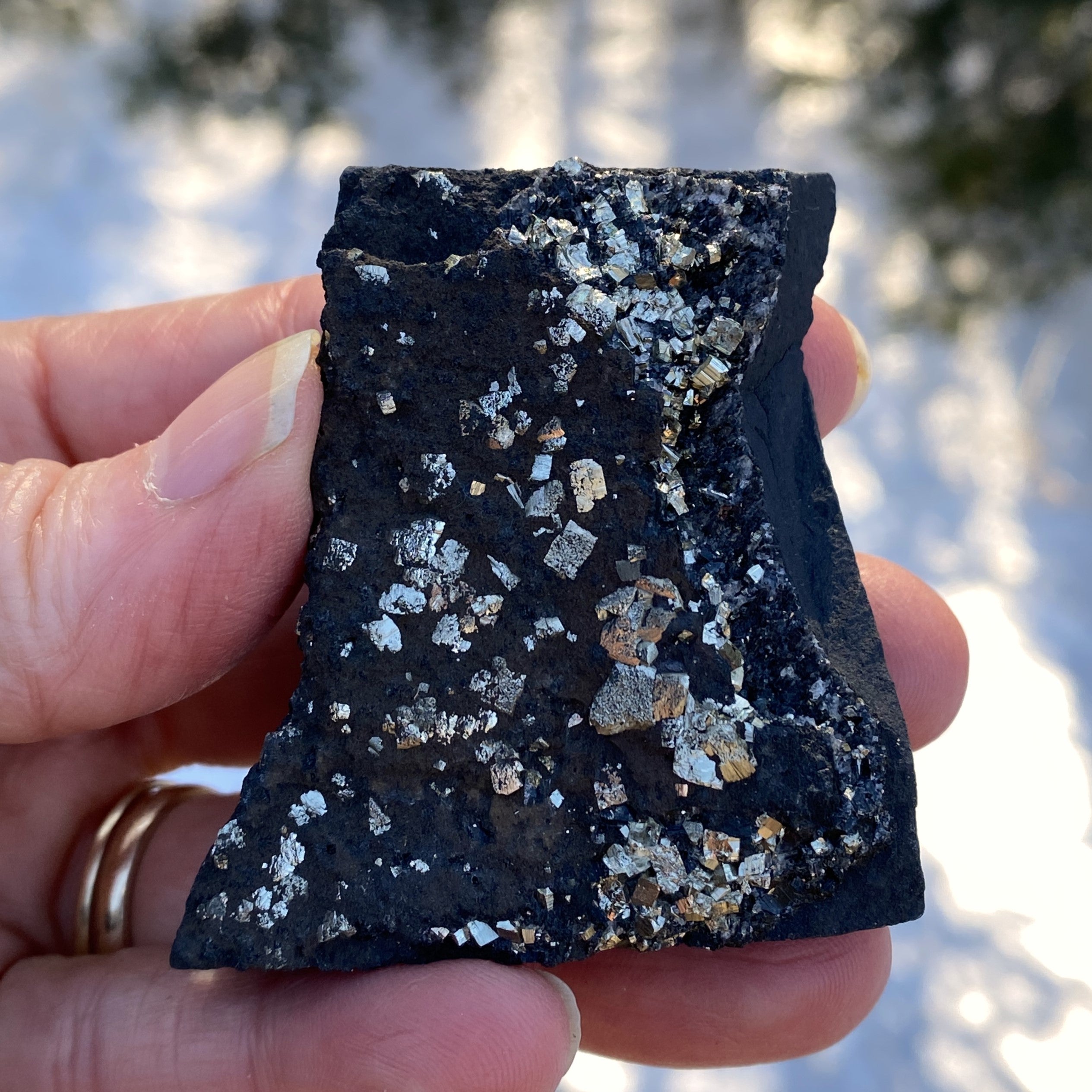 Pyrite on Shungite  Raw  FROM BRAZIL  Prosperity Meditation 31210S