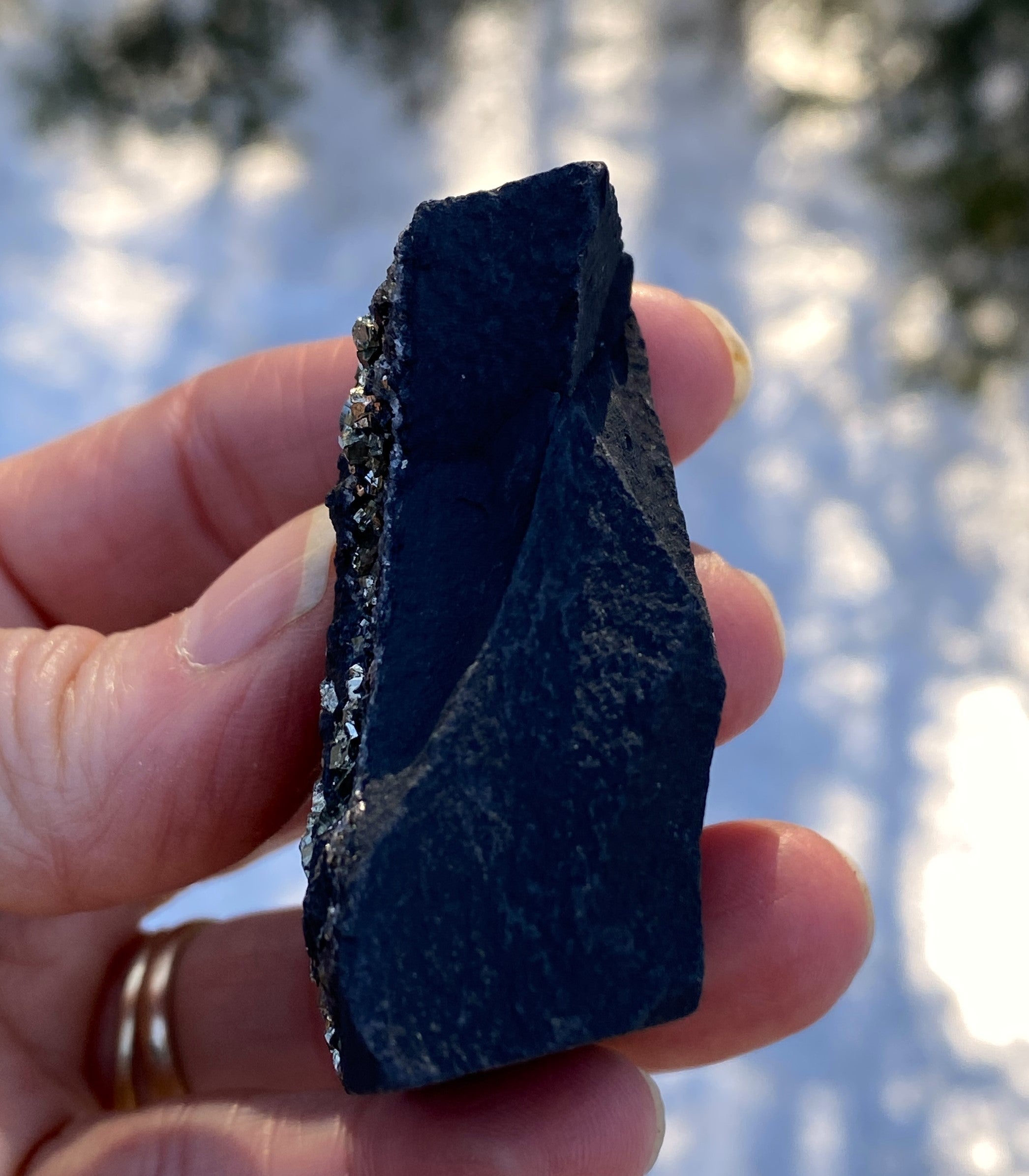 Pyrite on Shungite  Raw  FROM BRAZIL  Prosperity Meditation 31210S